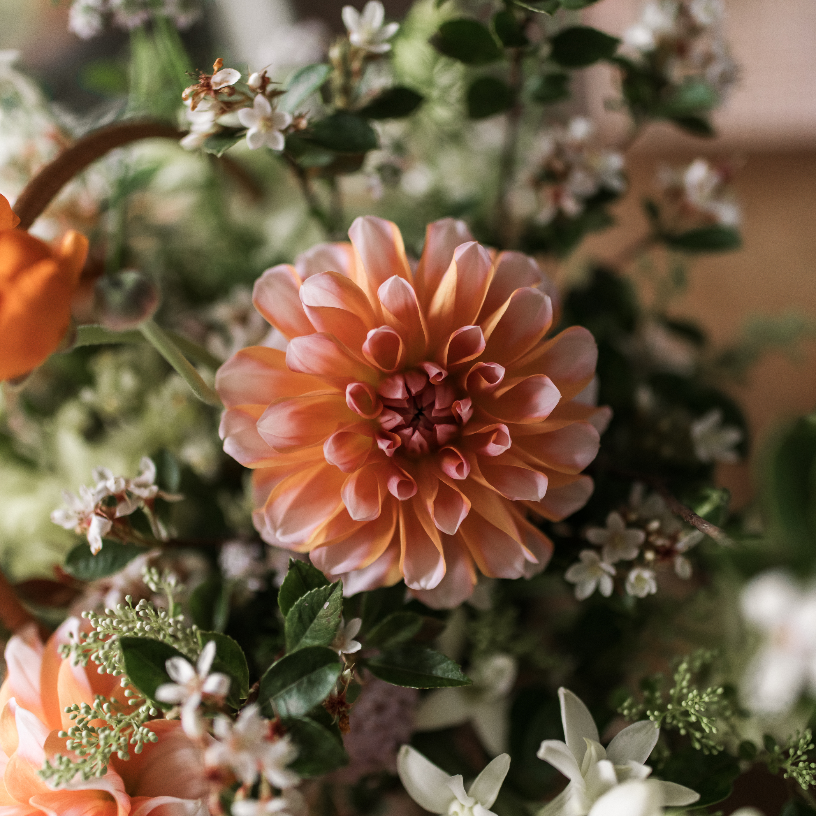 果籃女孩 | 花籃