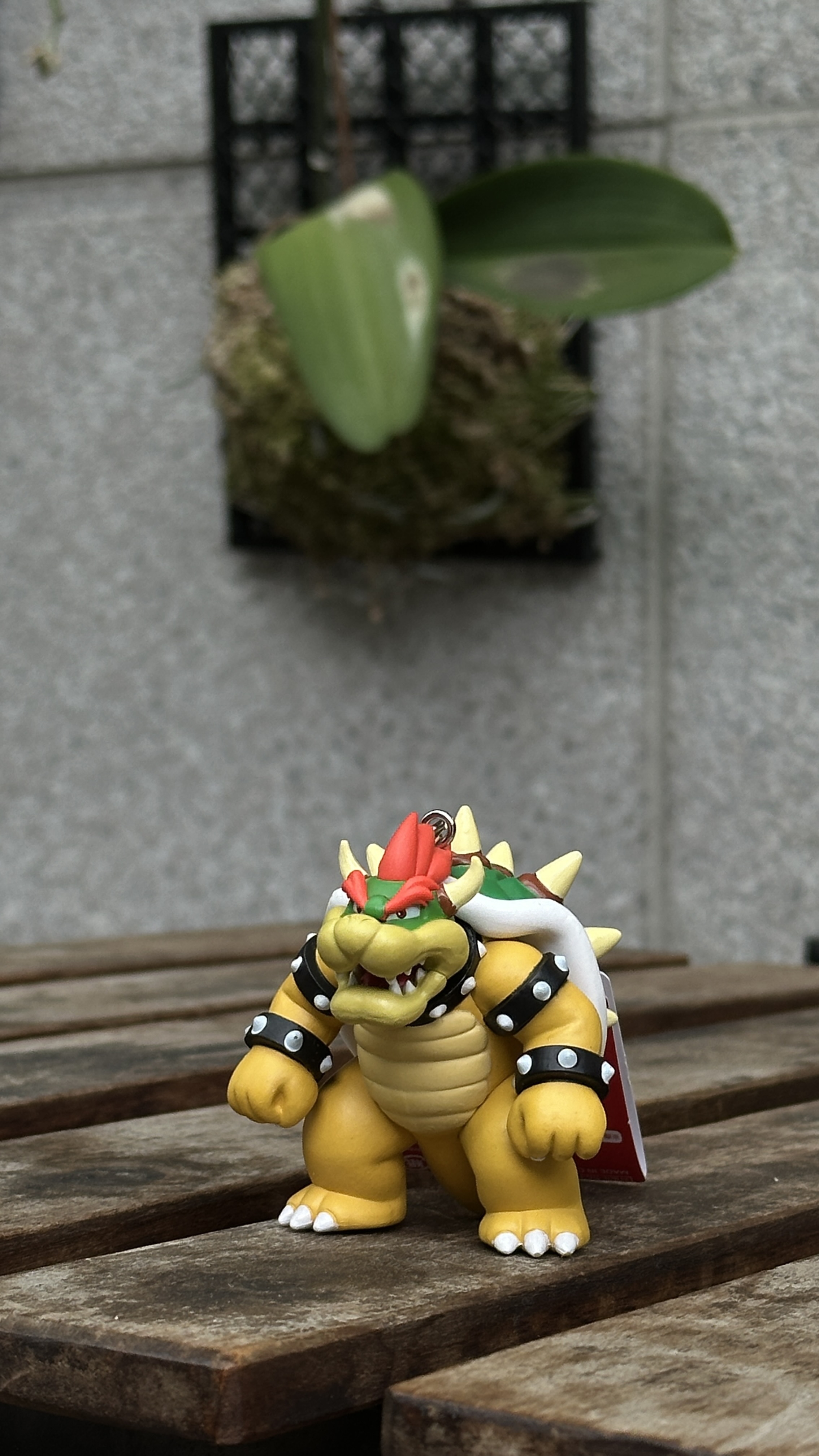 【現貨】環球影城 瑪利歐 角色 立體糖膠 鑰匙圈 瑪利歐 路易吉 庫巴 害羞幽靈 碧池公主 奇諾比奧 呵柯