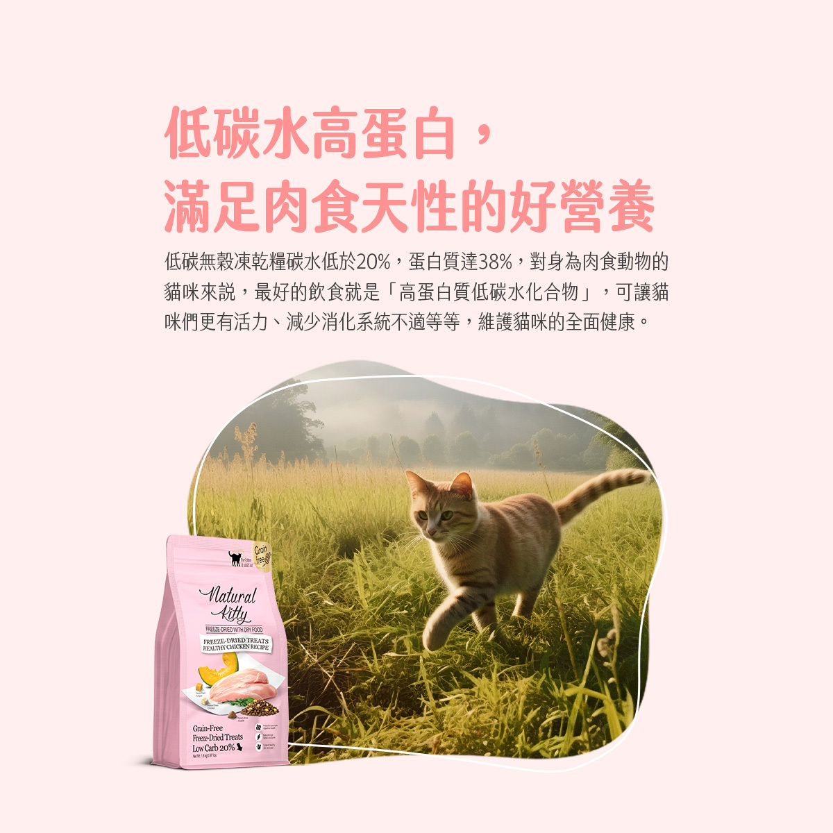 Natural Kitty 自然小貓｜低碳無穀凍乾糧 貓飼料1.8kg