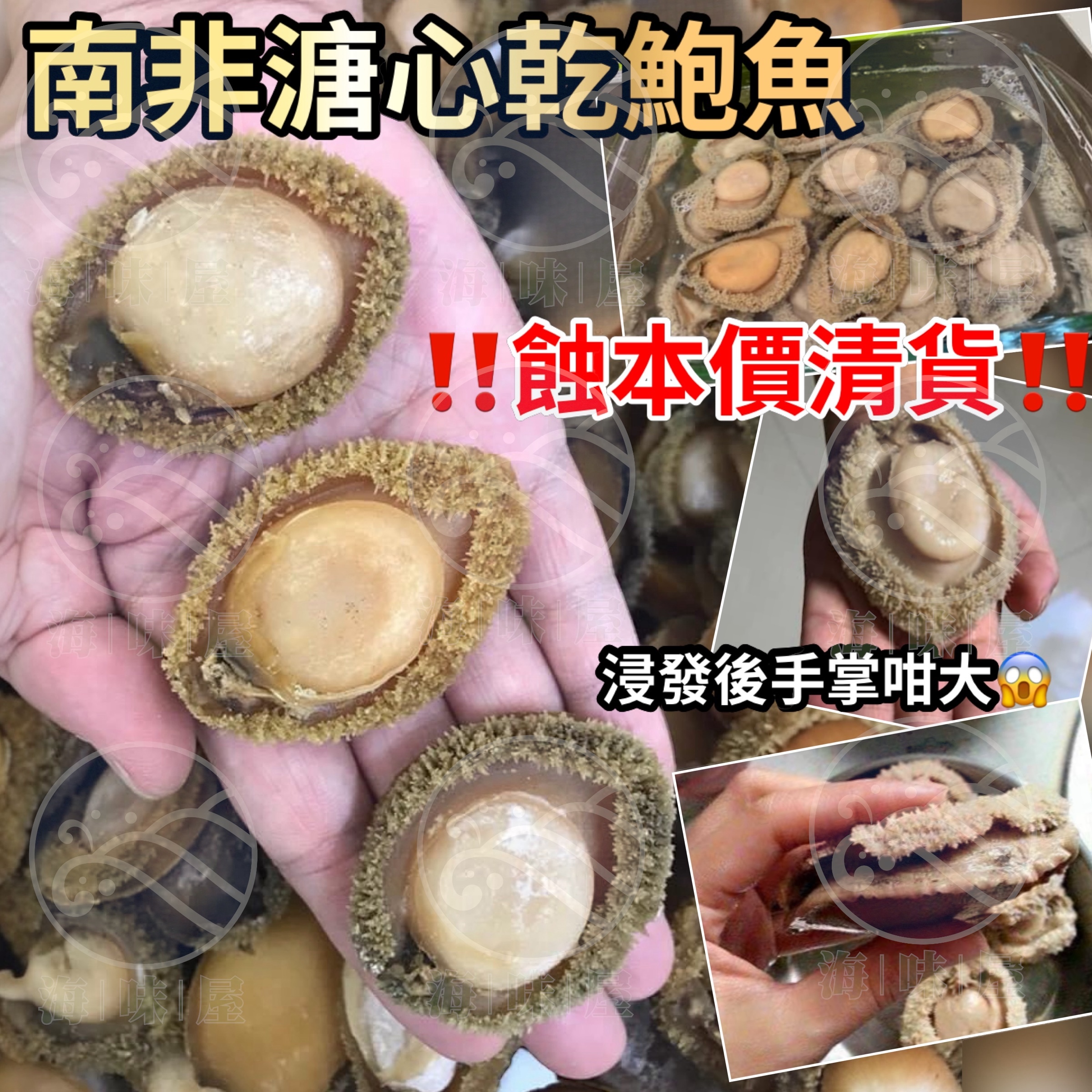 H20012 2x 頭南非溏心乾鮑魚（約4隻100g)