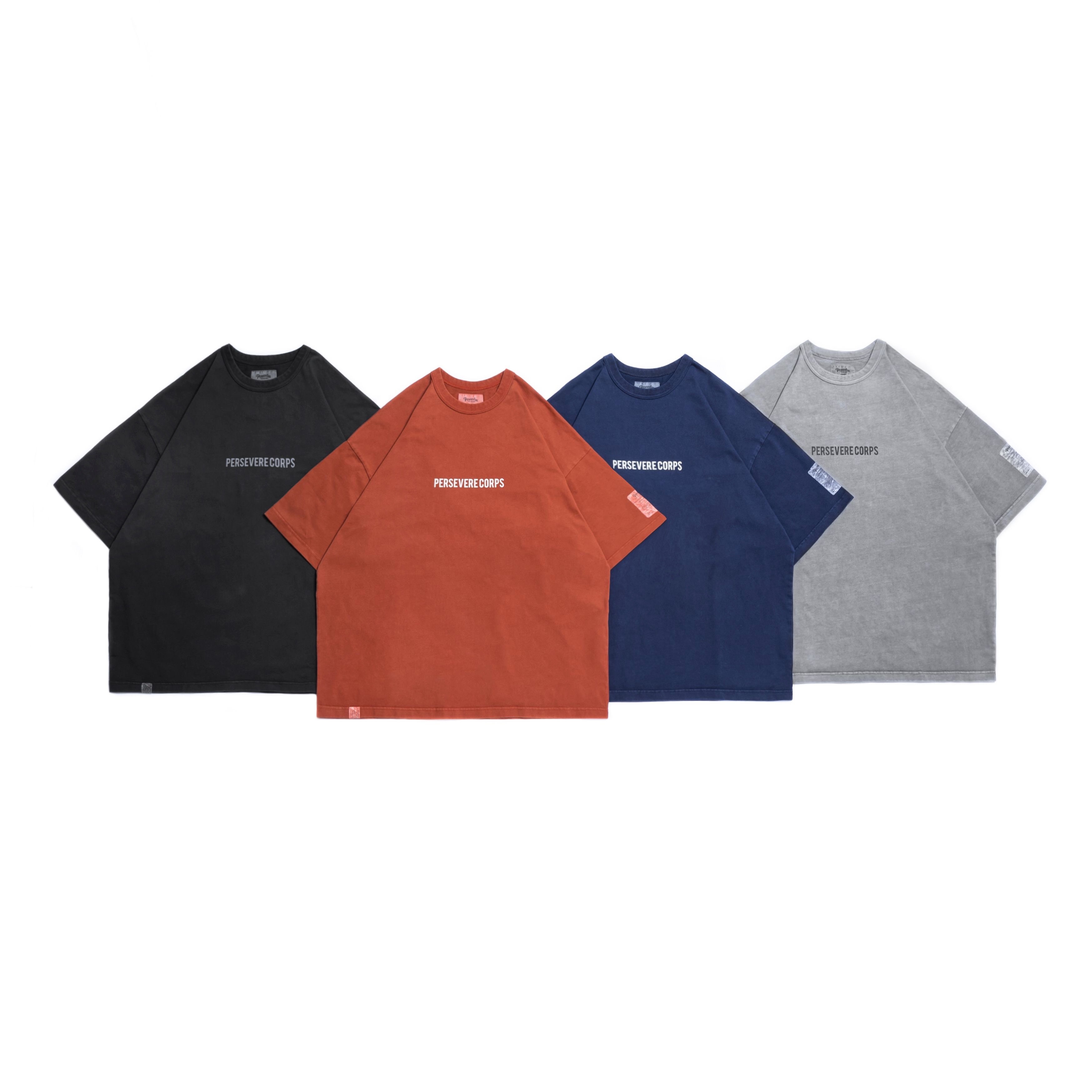 PSVR PIGMENT-DYED CATCHWORD T-SHIRT