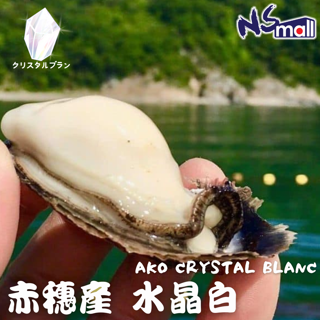兵庫 AKO CRYSTAL BLANC 真蠔 赤穂三倍体  約50-80g/隻