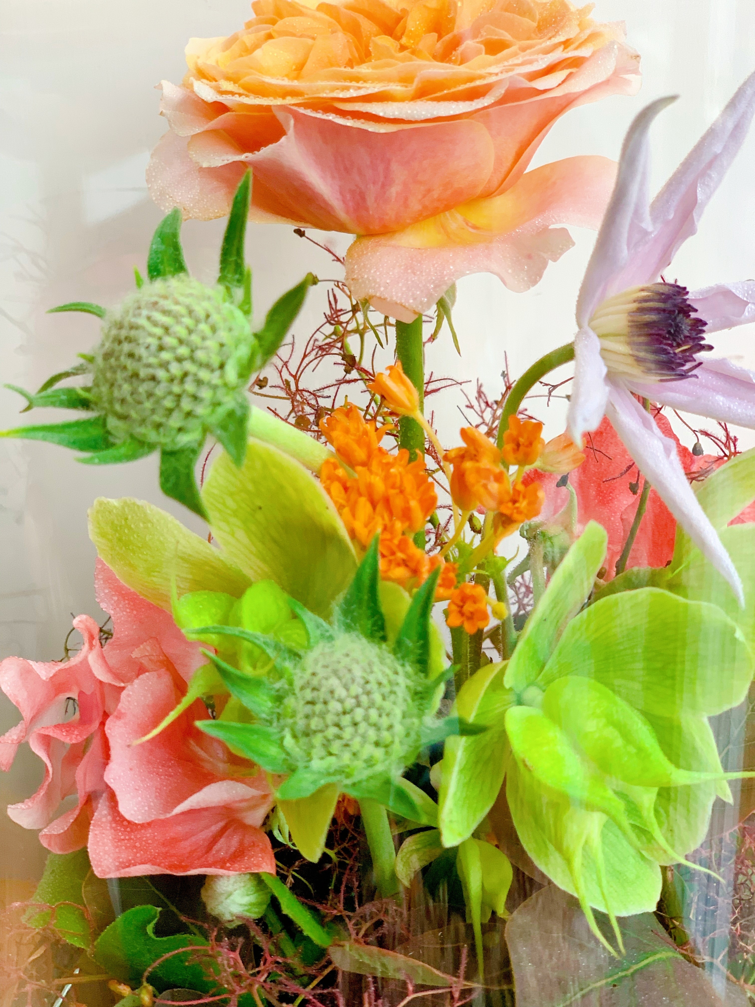 Rose Enchanted Garden