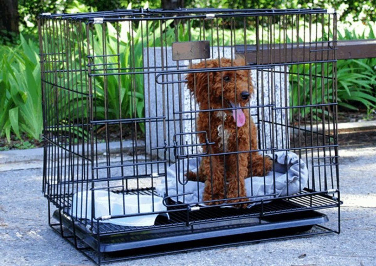 新款2呎半 噴漆狗籠 (黑色) (85*60*70cm) 