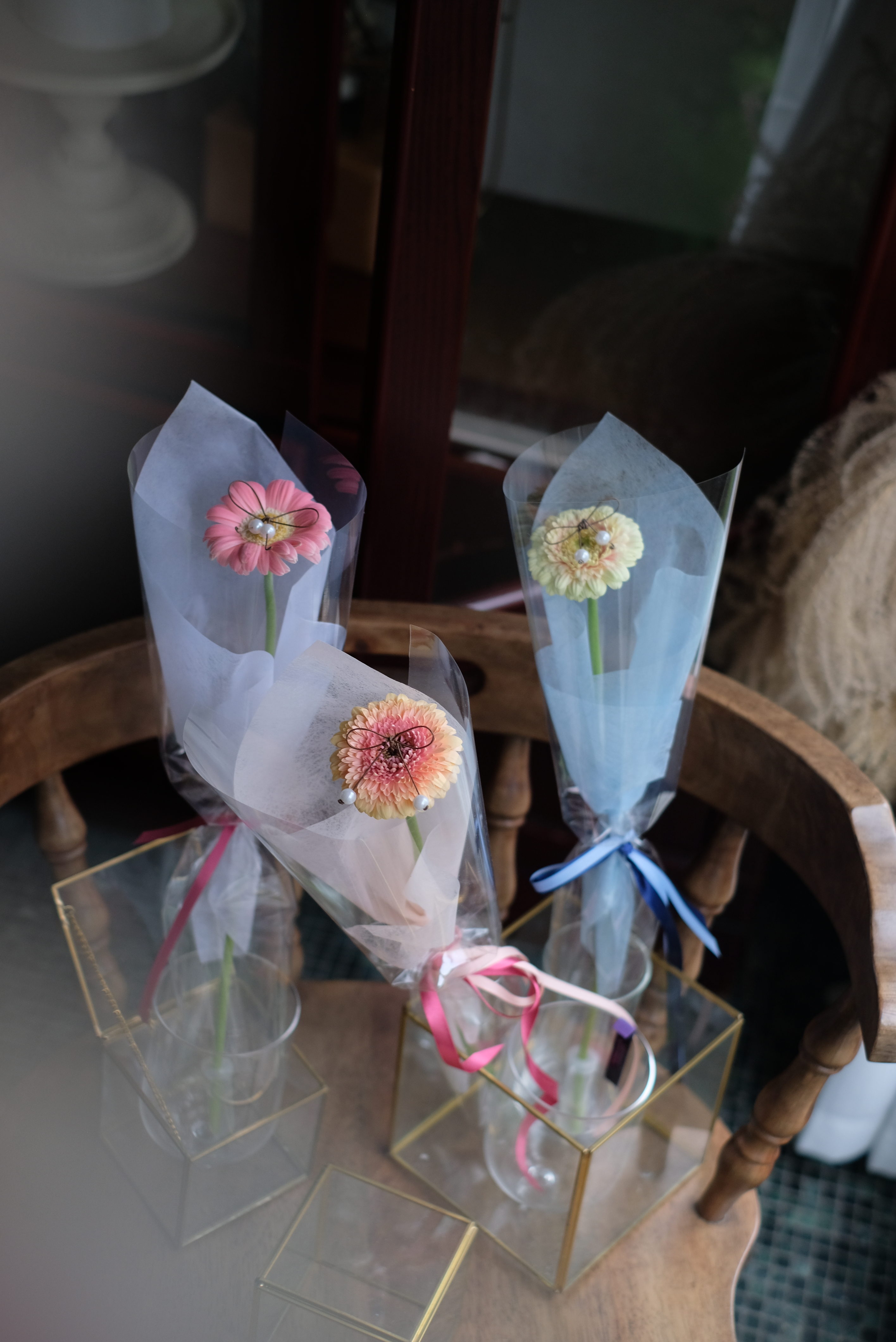 蝴蝶結 ౨ৎ ｜單支非洲菊｜