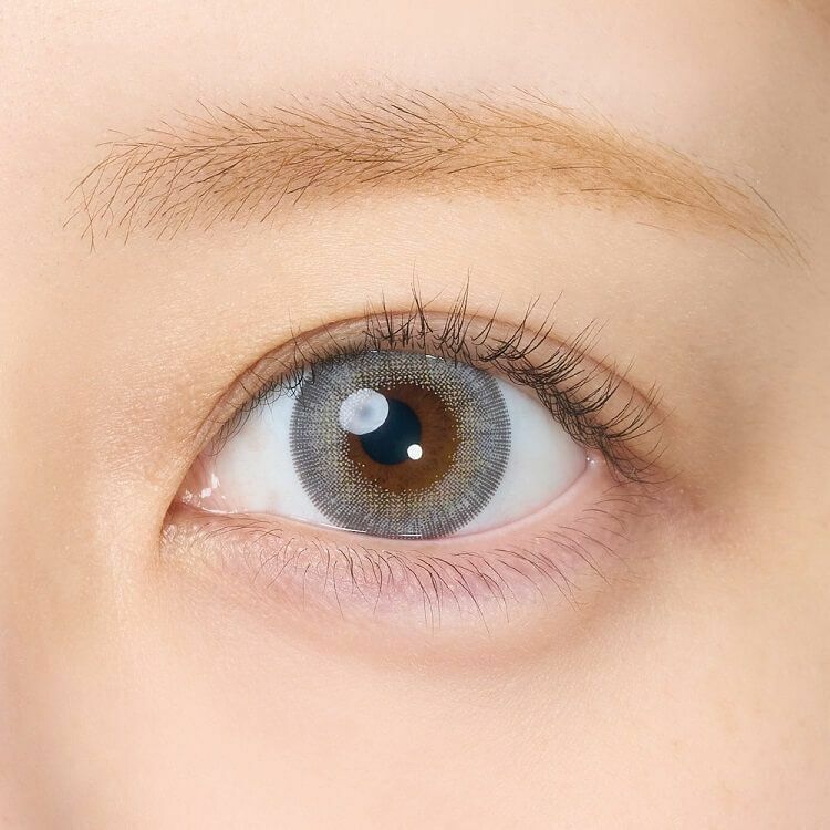 [日拋] rain 1 Day  Doll Gray 彩妝隱形眼鏡｜每盒10片