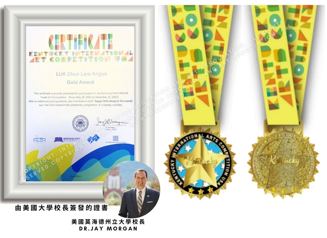 美國國際兒童繪畫比賽_初賽證書及獎牌_IGEAAA