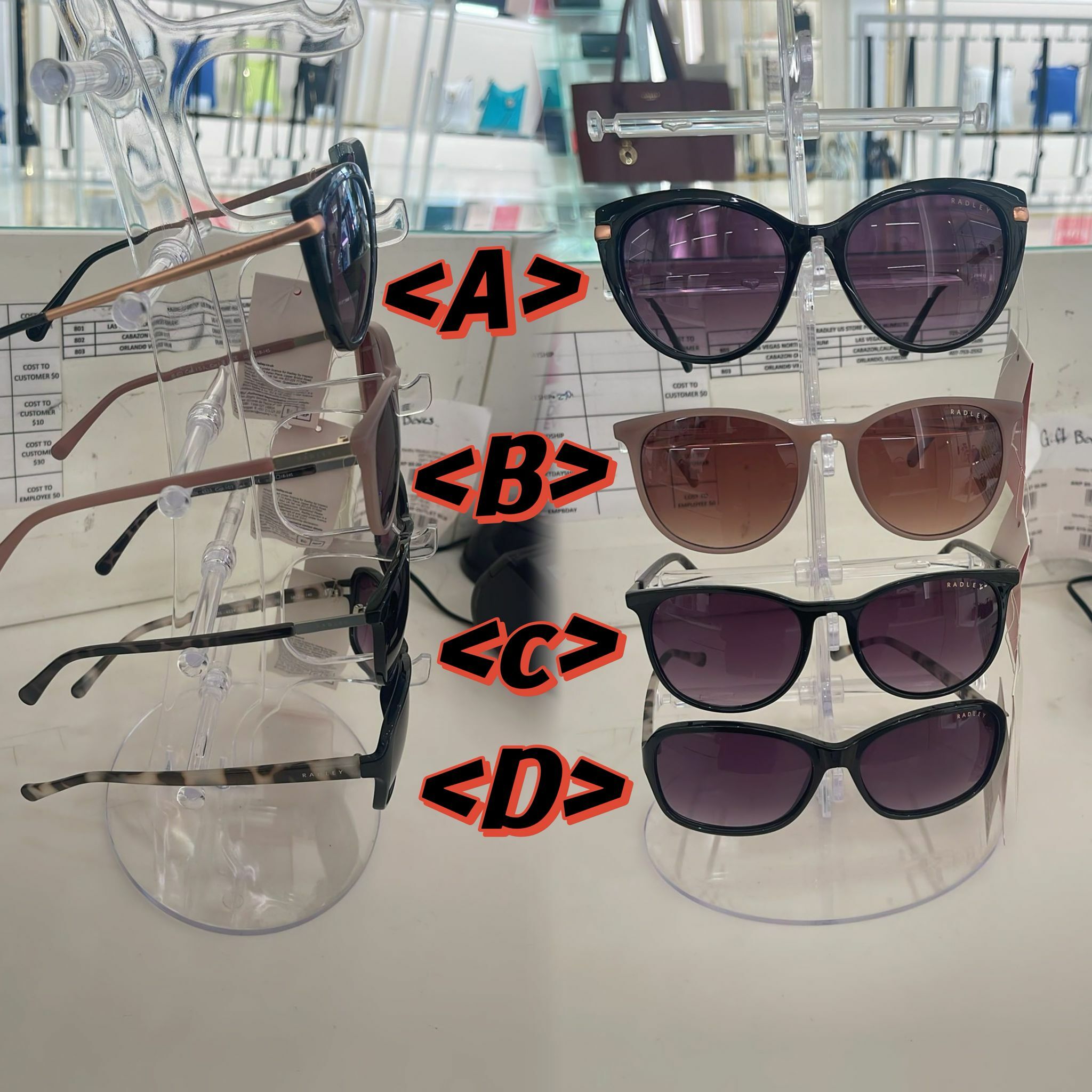 【預購】RADLEY LONDON F060861 太陽眼鏡