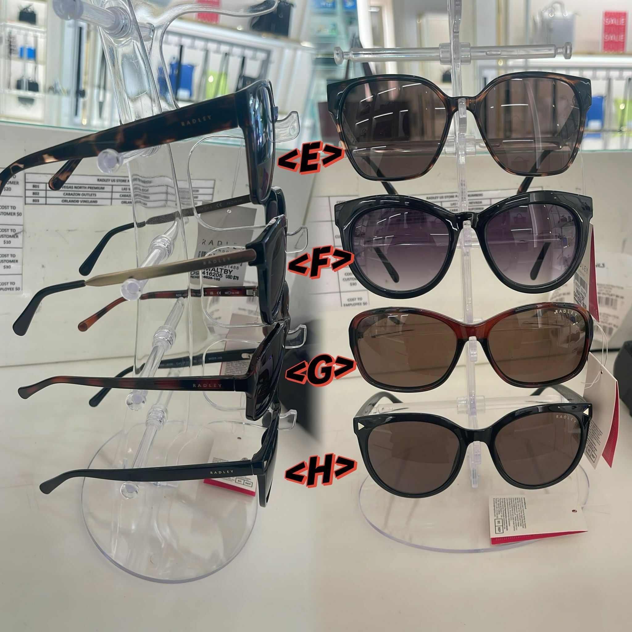 【預購】RADLEY LONDON F060861 太陽眼鏡