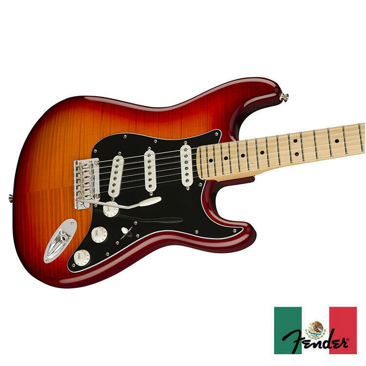 送料購入者負担　訳ありFender PLAYER 最終値下げ‼️‼️‼️‼️‼️‼️‼️‼️‼️ Fender Player Stratocaster Plus Top ACB 電吉他