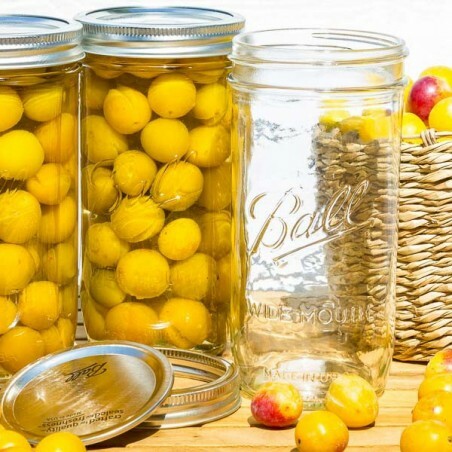 美國經典梅森罐 Ball (Mason Jars) 24oz 寬口徑(Wide Mouth)