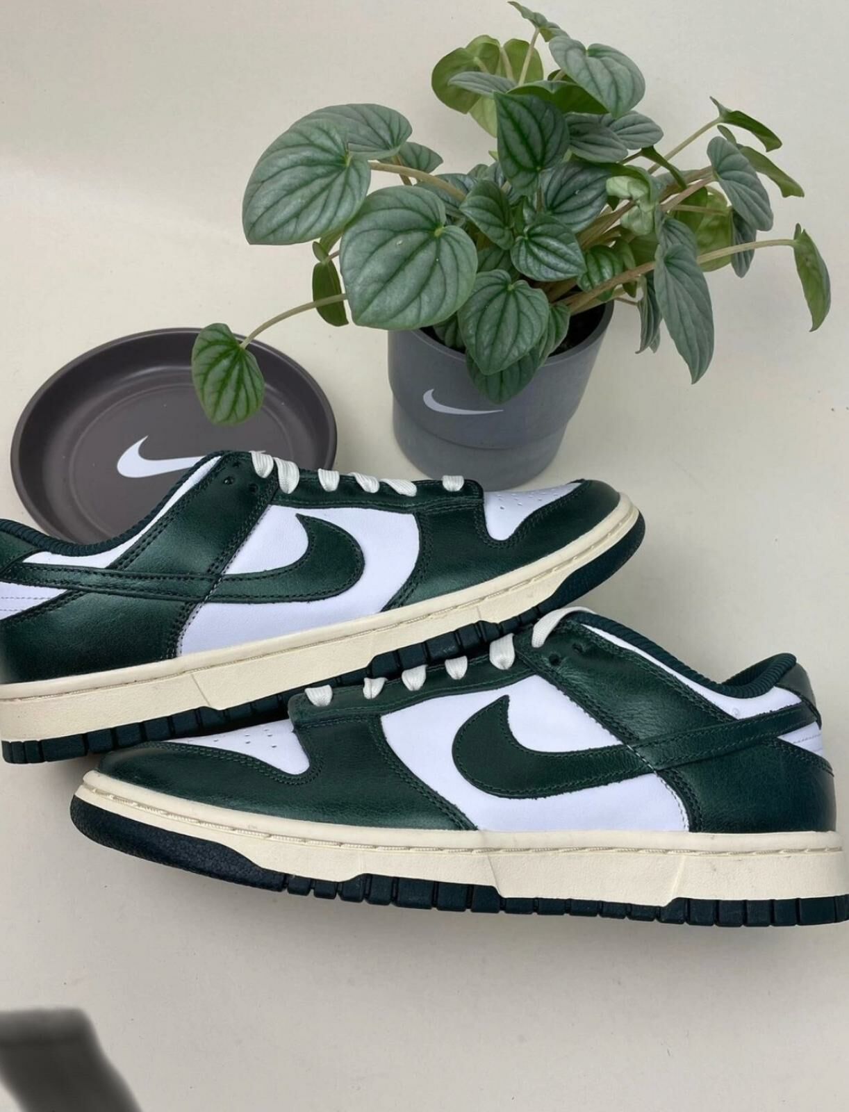 nike dunke low retro