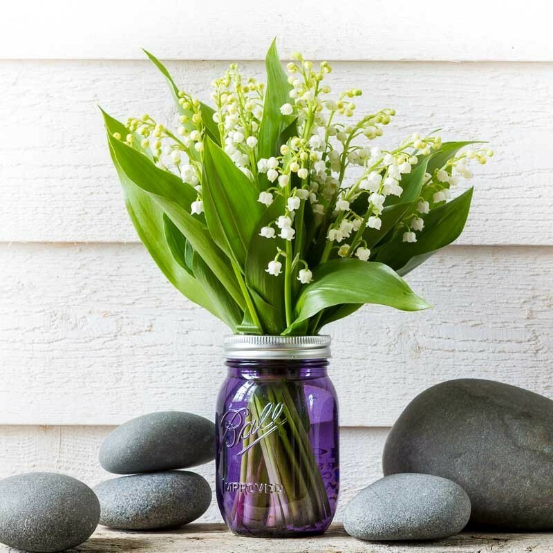 美國經典梅森罐 Ball (Mason Jars) Heritage 系列 16oz 標準口徑(Regular Mouth)
