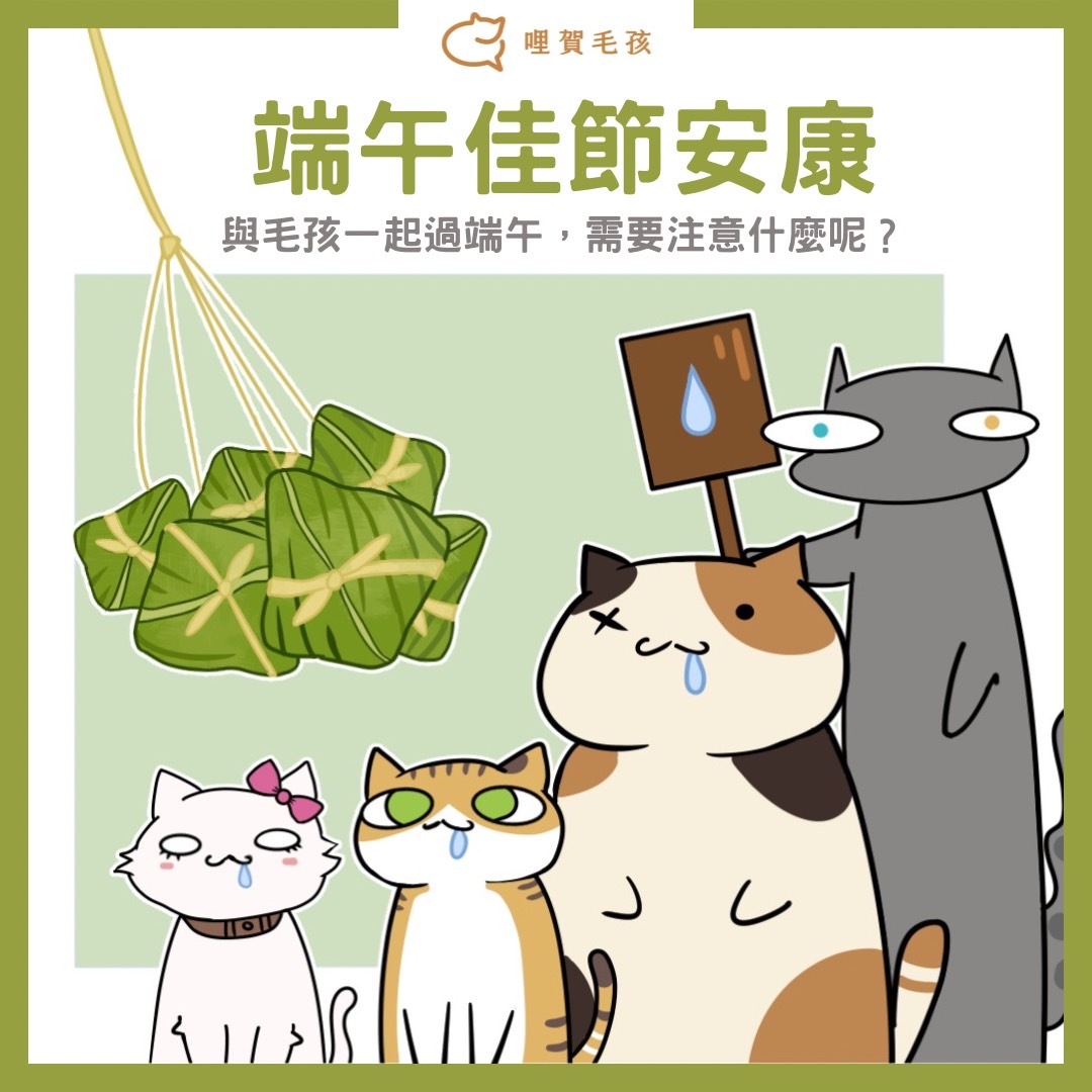 哩賀毛孩祝大家端午節安康