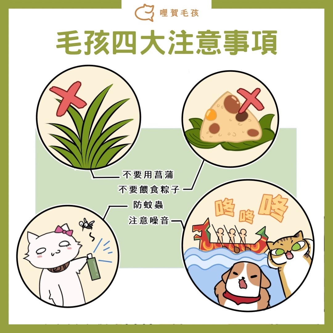 注意寵物蚊蟲叮咬