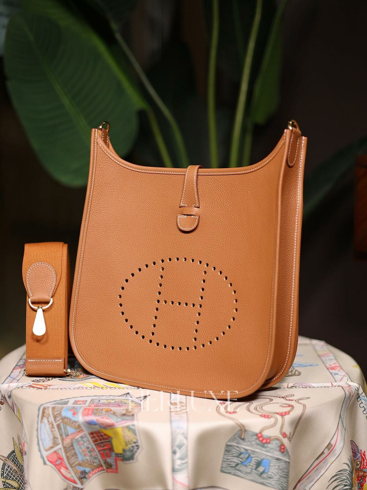 Evelyne 29 37 gold cc tm B