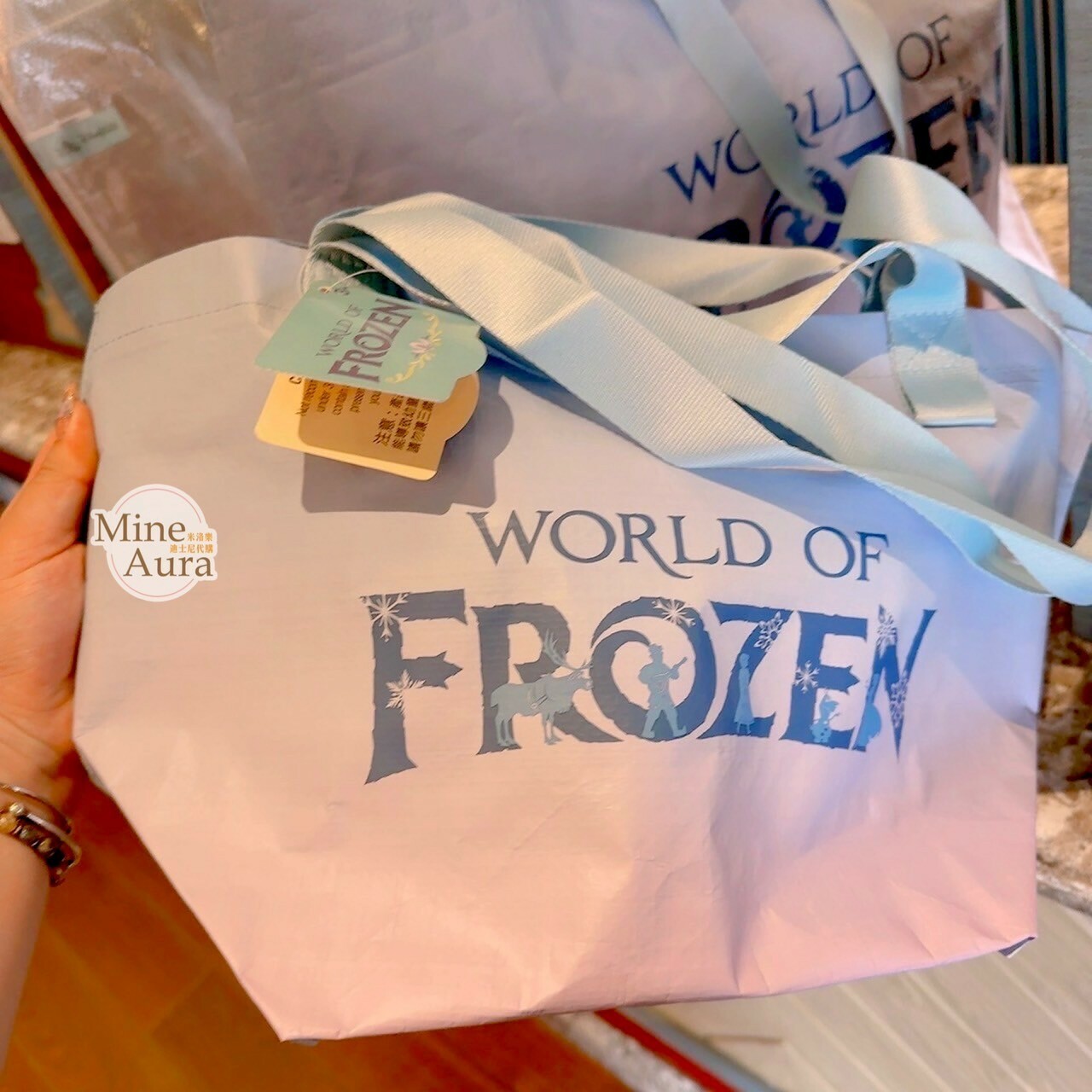 World of Frozen 限定 S號 漸層 購物袋 提袋 環保袋 冰雪奇緣 Frozen -香港迪士尼樂園