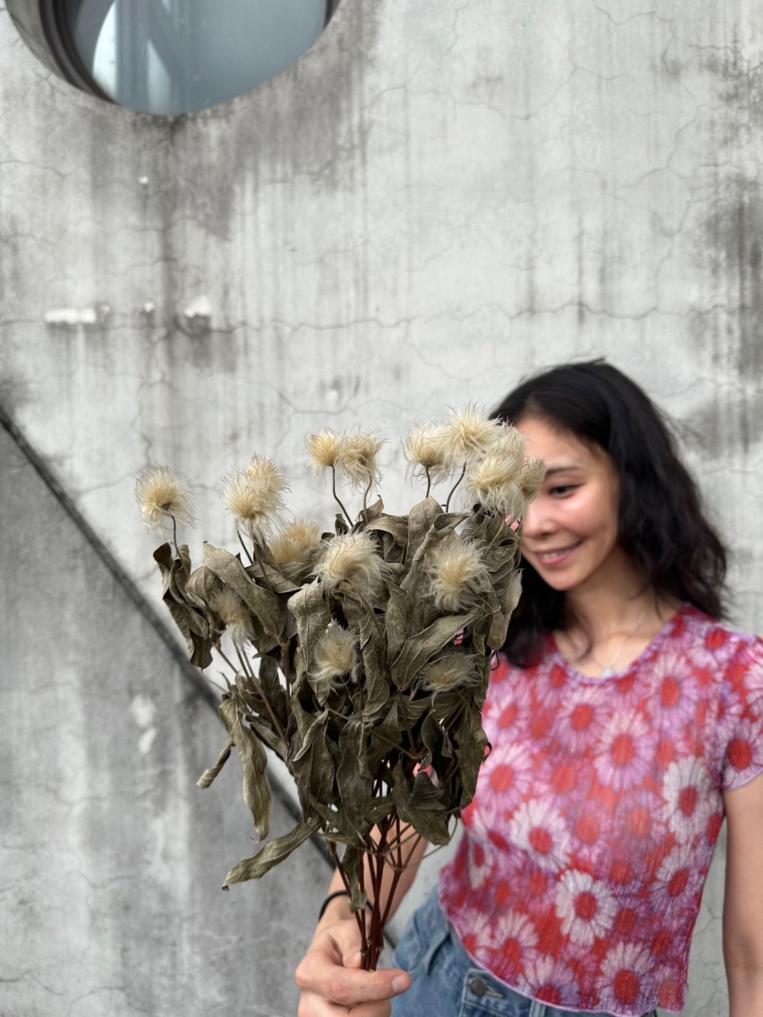 乾燥鐵線蓮(荷蘭)