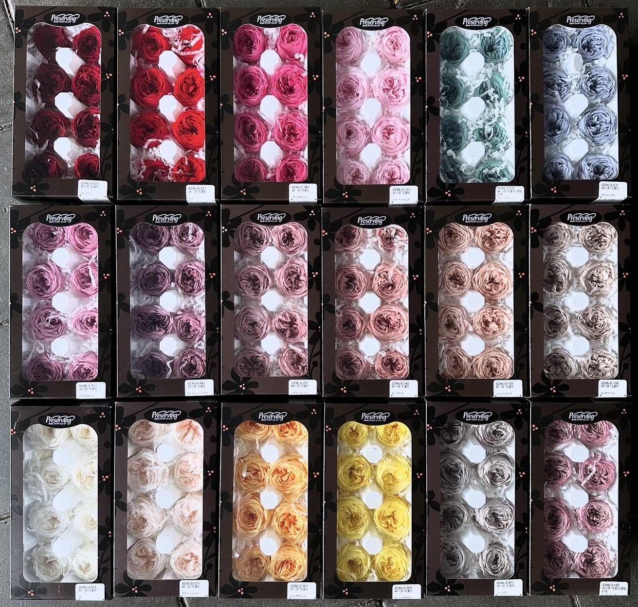 庭園玫瑰(日本)