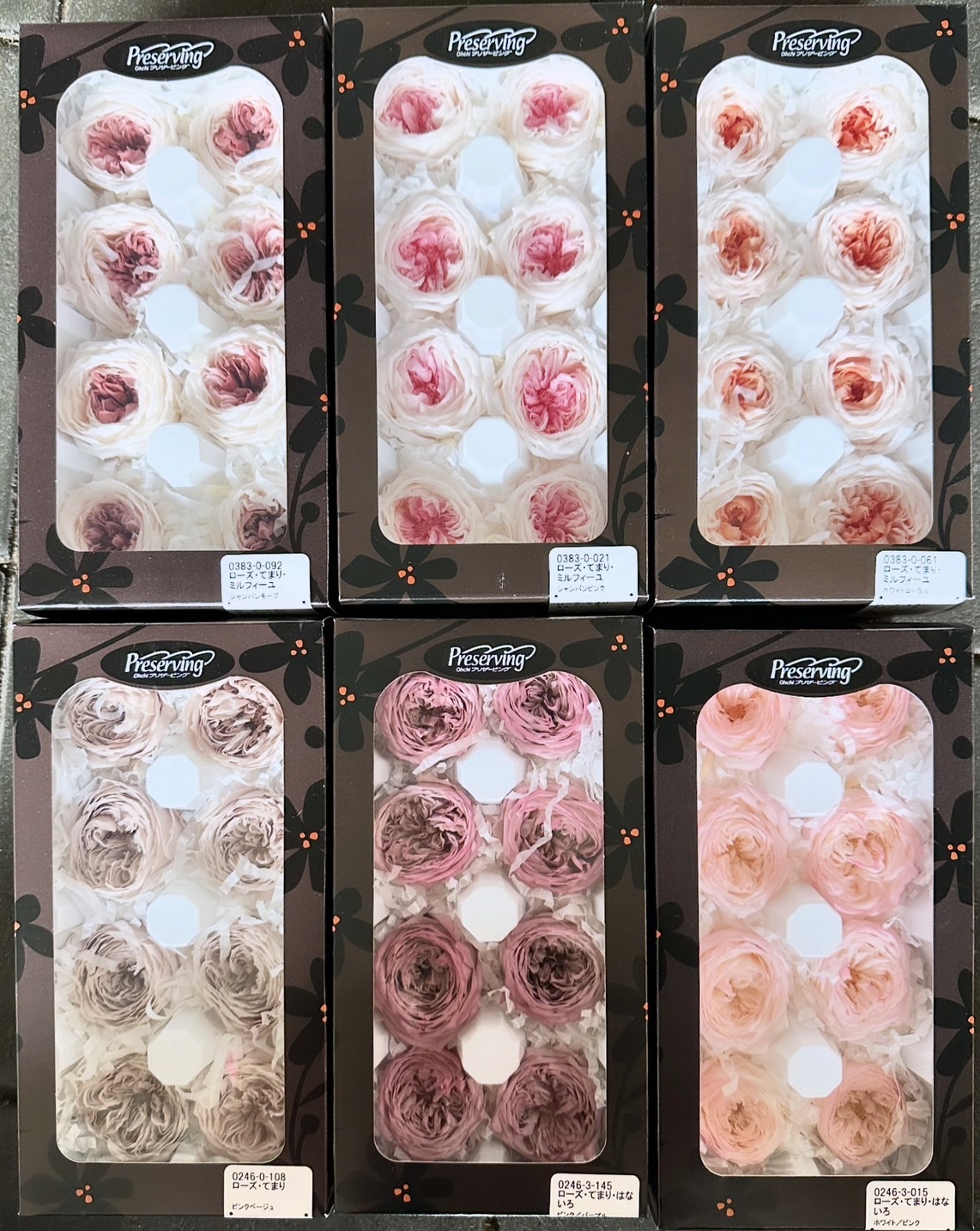 庭園玫瑰(日本)