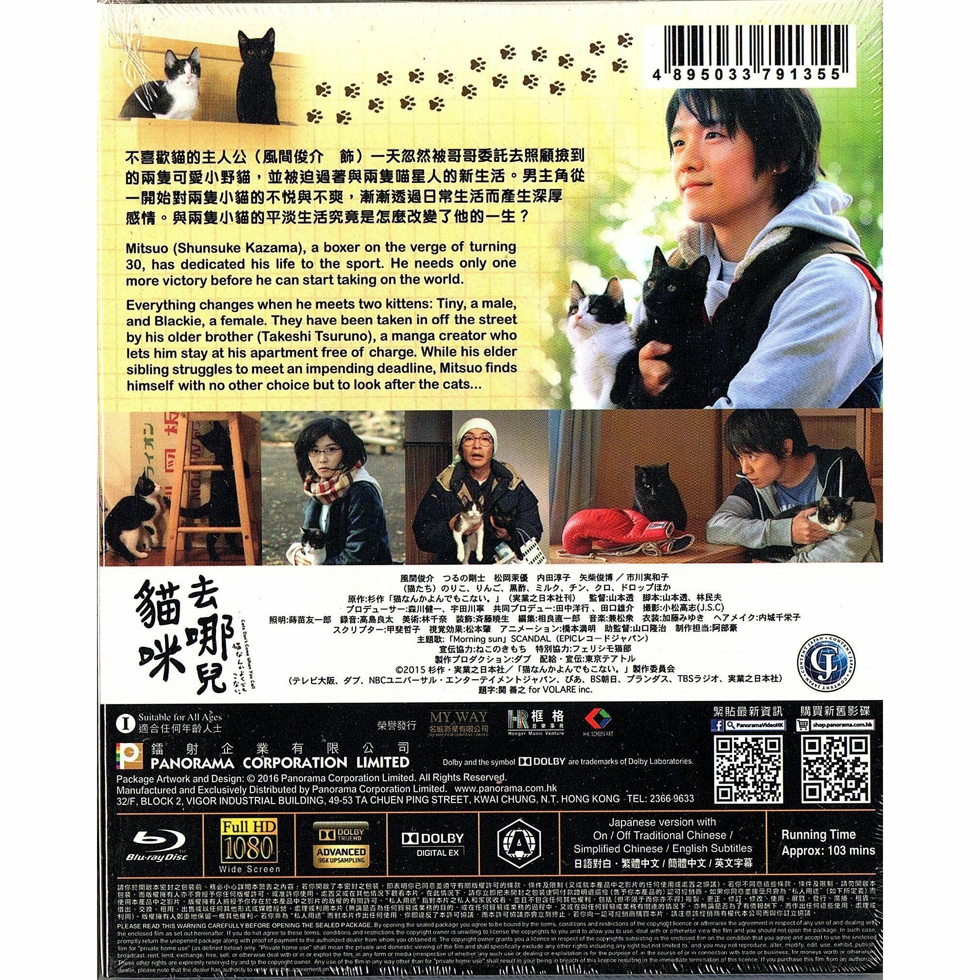 貓咪去哪兒 (Blu-ray)