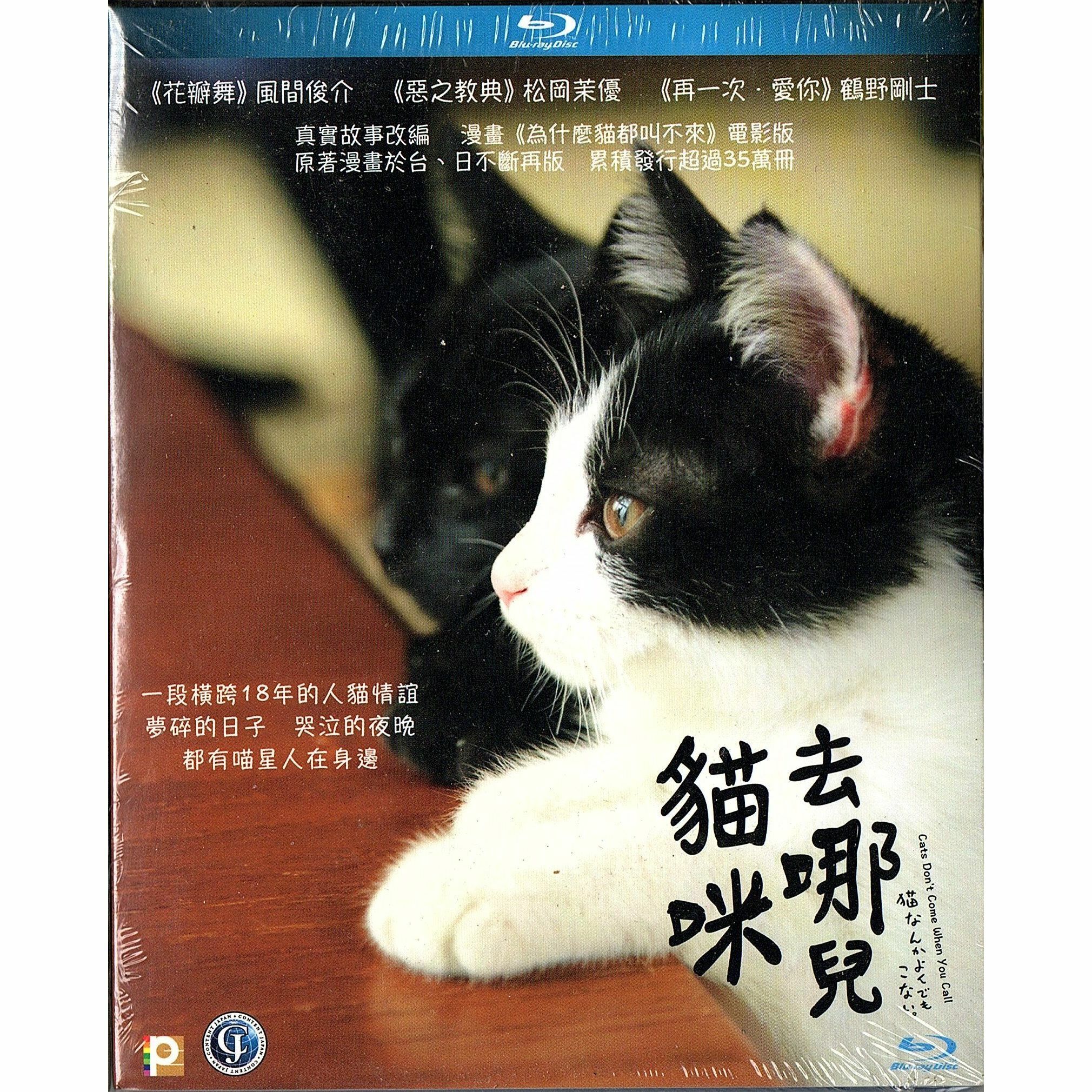 貓咪去哪兒 (Blu-ray)