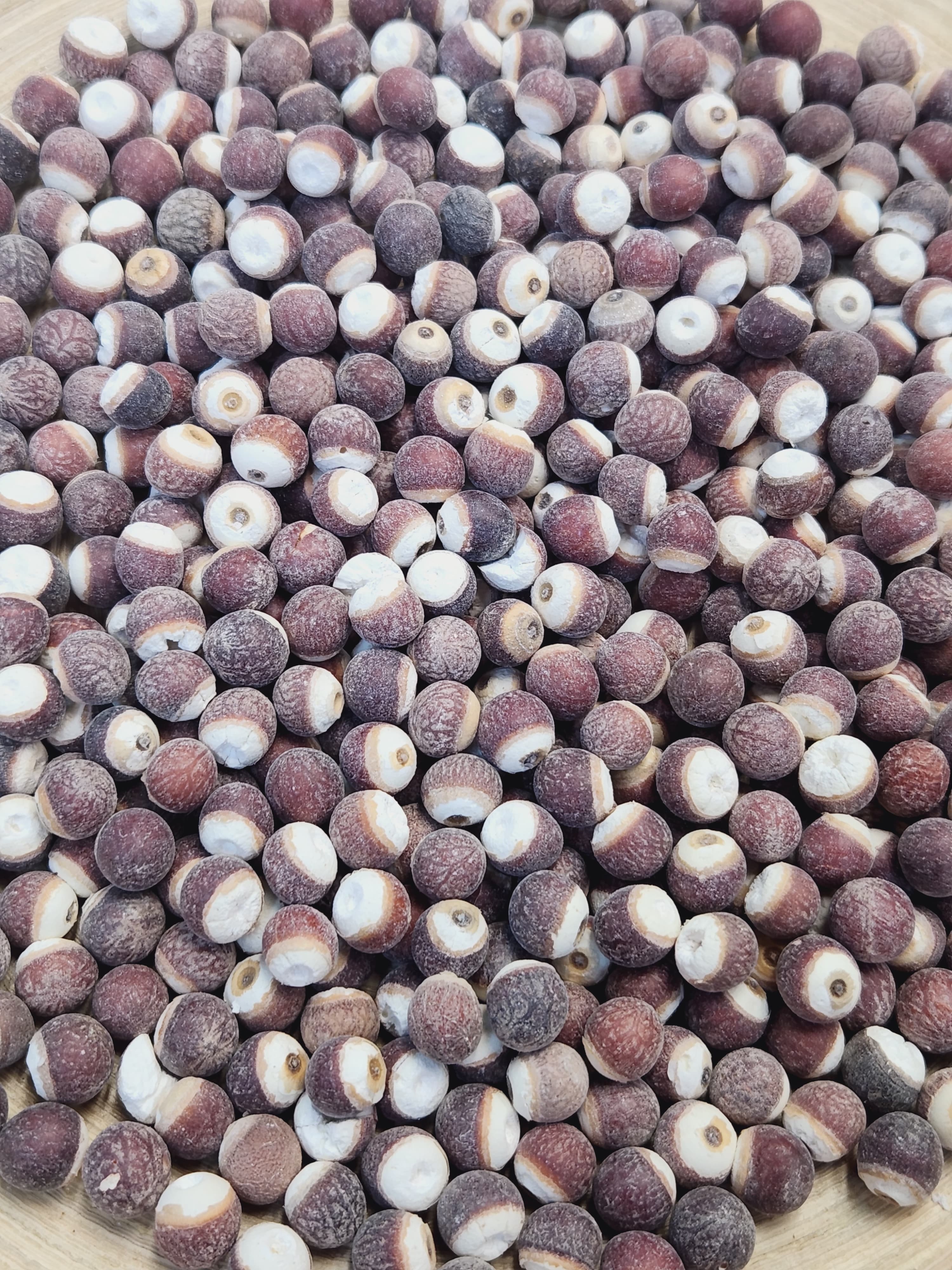 原粒茨實