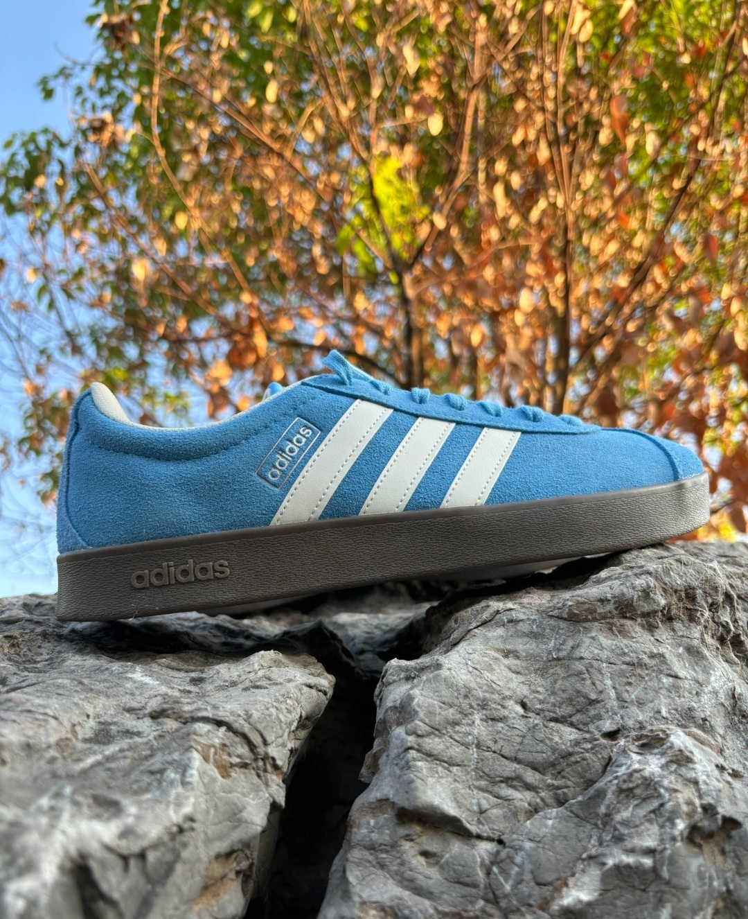 藍田／吉米 - 代購 Adidas Vl Court 寶寶藍 德訓鞋 荔枝皮 麂皮 三線 復古 JI0496