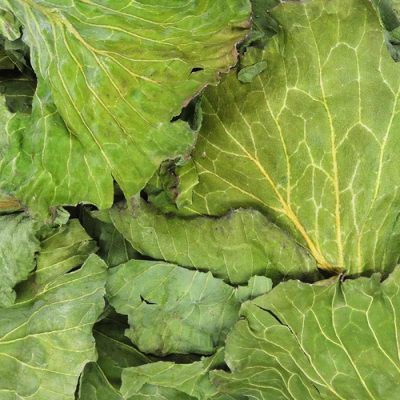 NPF 天然捲心菜 - 20g