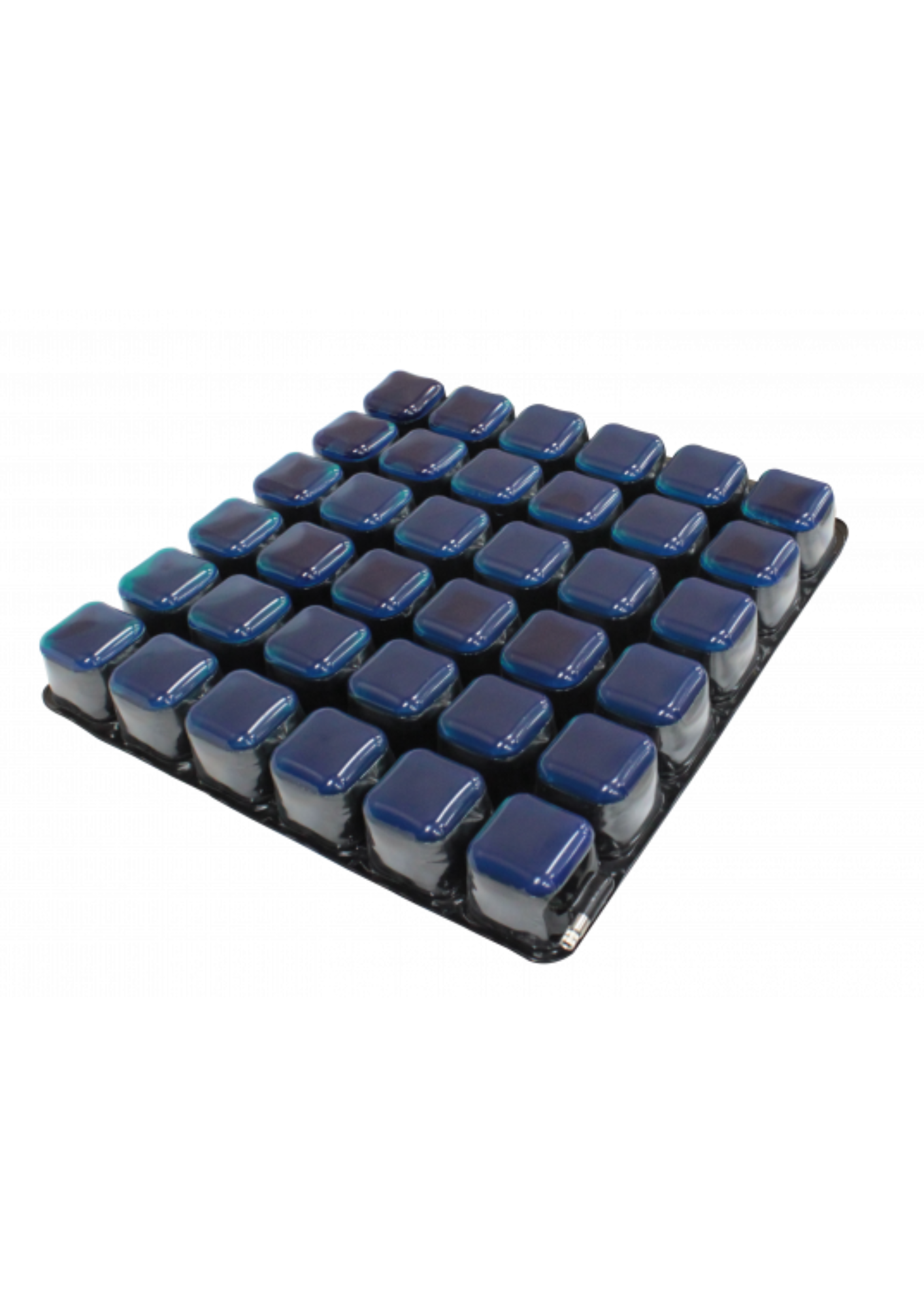 韓國【YoungWon】 二合一充氣式矽膠坐墊