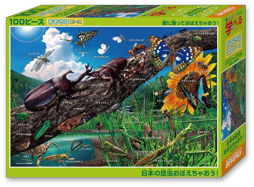 讓我們記住日本的昆蟲吧！ (大件尺寸)