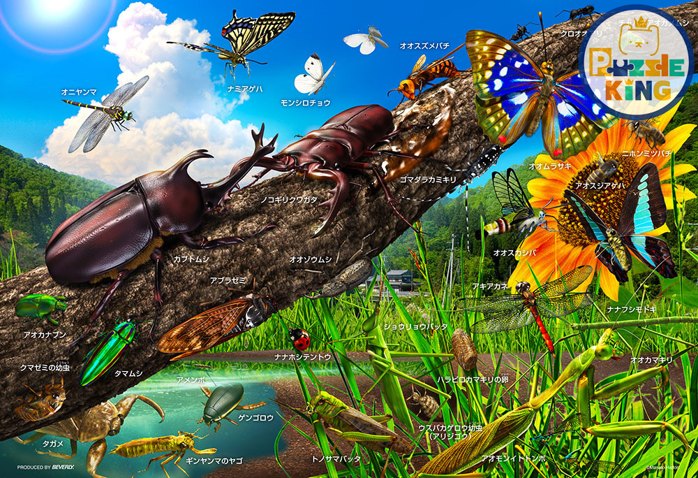 讓我們記住日本的昆蟲吧！ (大件尺寸)