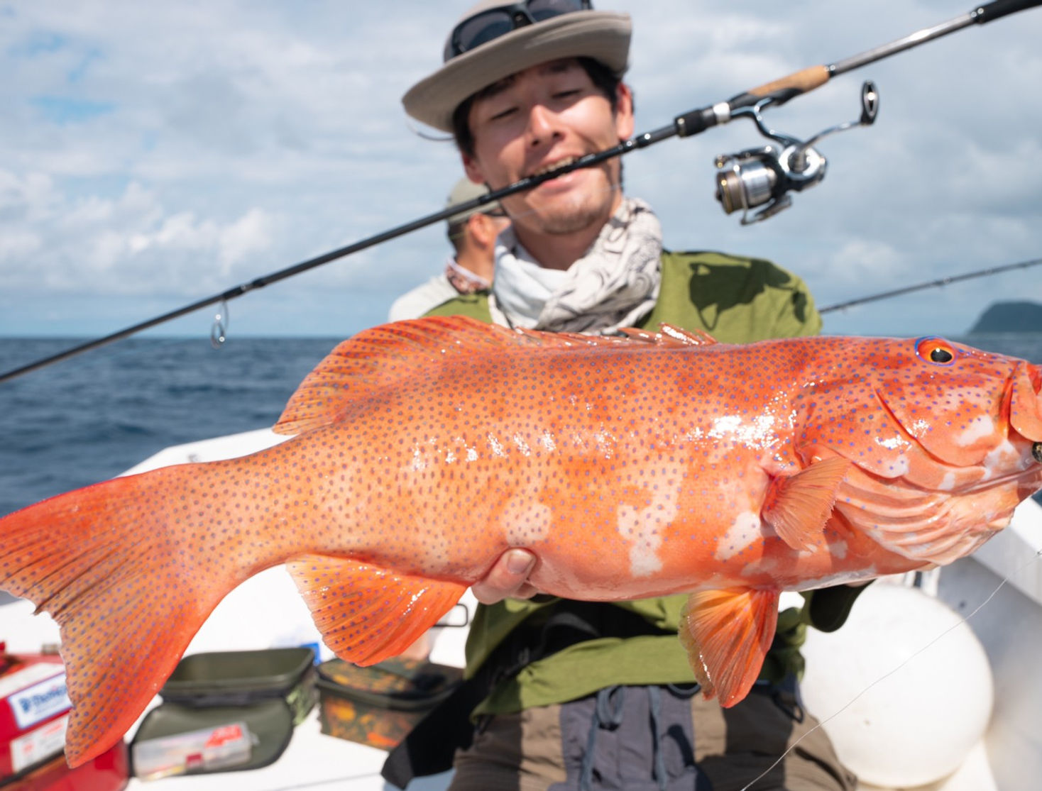 Transcendence BATUTA80S+