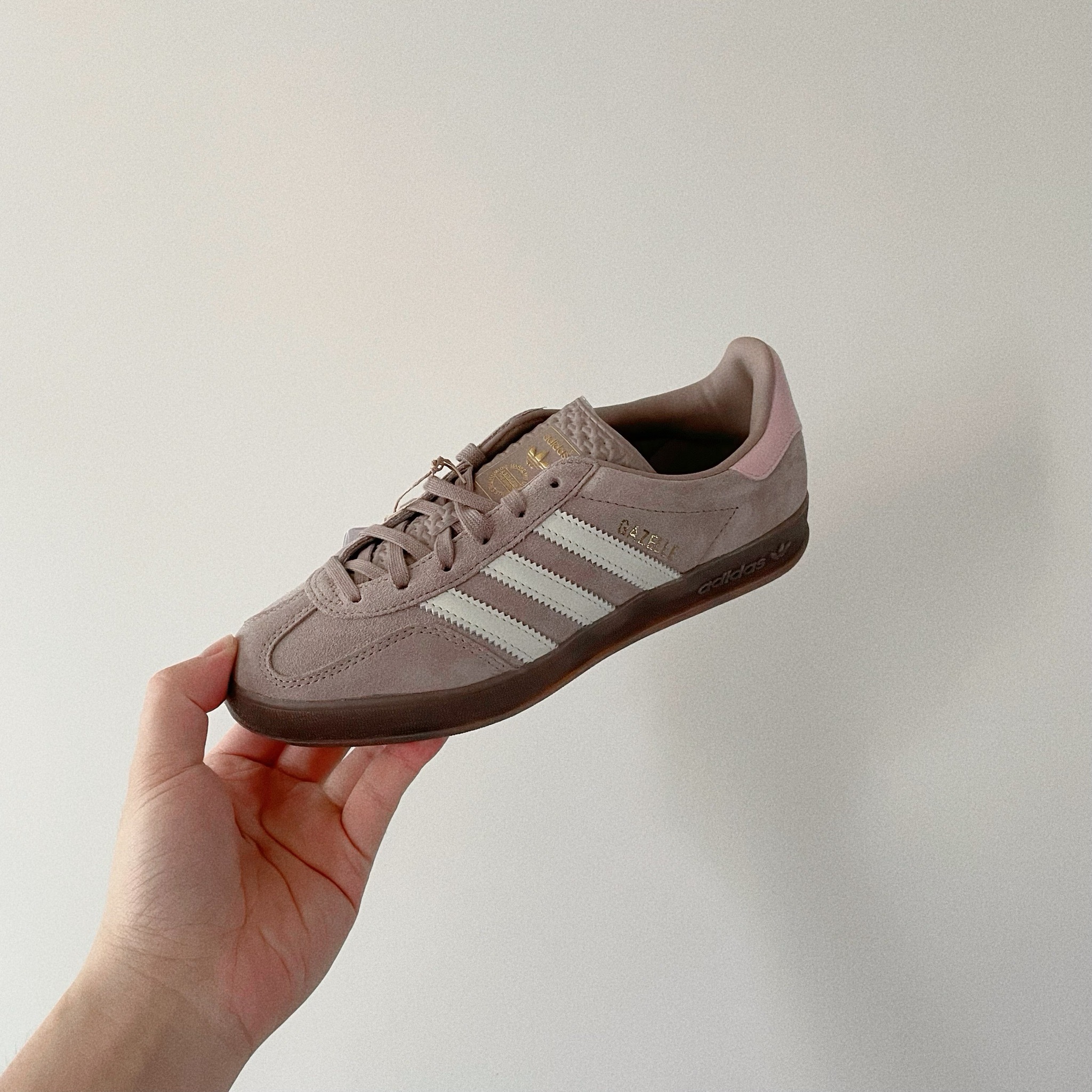 Adidas Originals Gazelle Indoor 歐洲限定 伯爵歐蕾 淺咖啡 復古鞋 JH6477