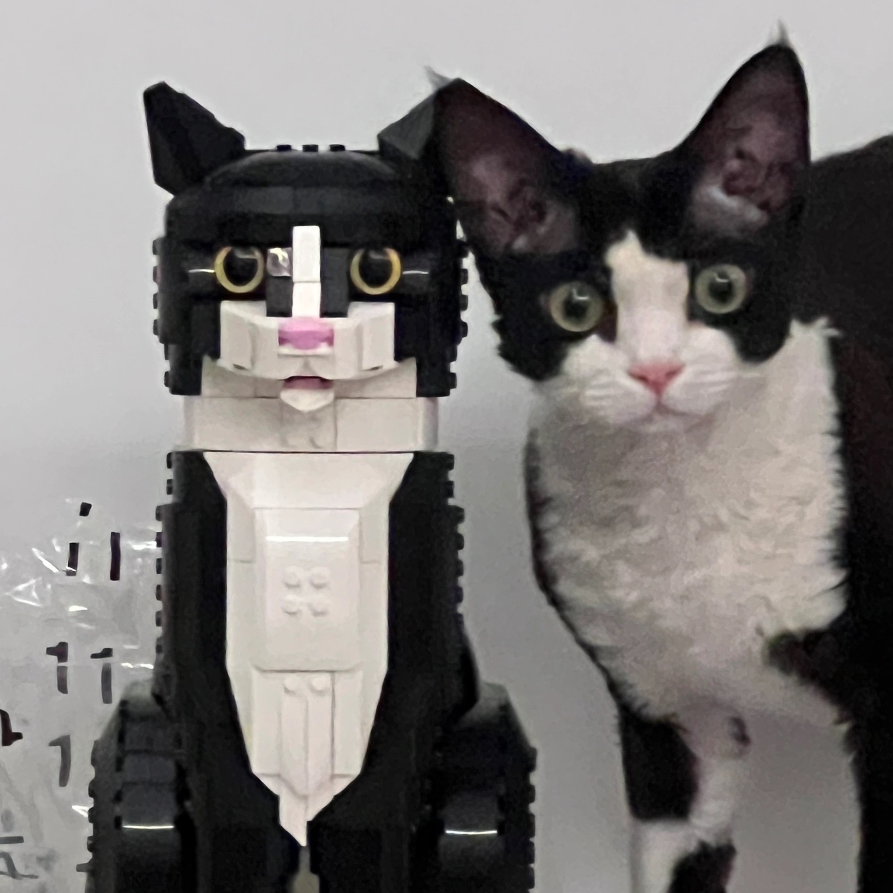 LEGO 樂高 賓士貓 21349 貓咪 模型 玩具 積木 / 調貨