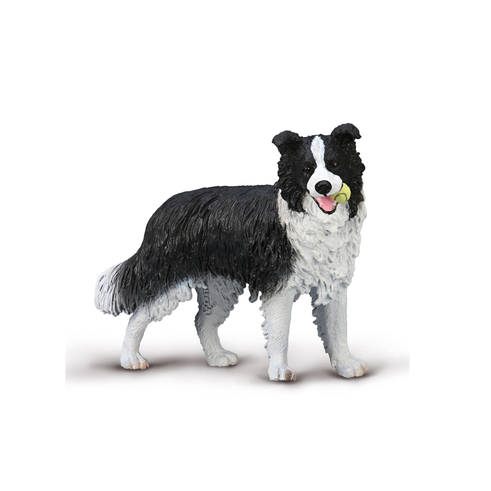 《 COLLECTA 》 邊境牧羊犬~英國高擬真模型-R80012
