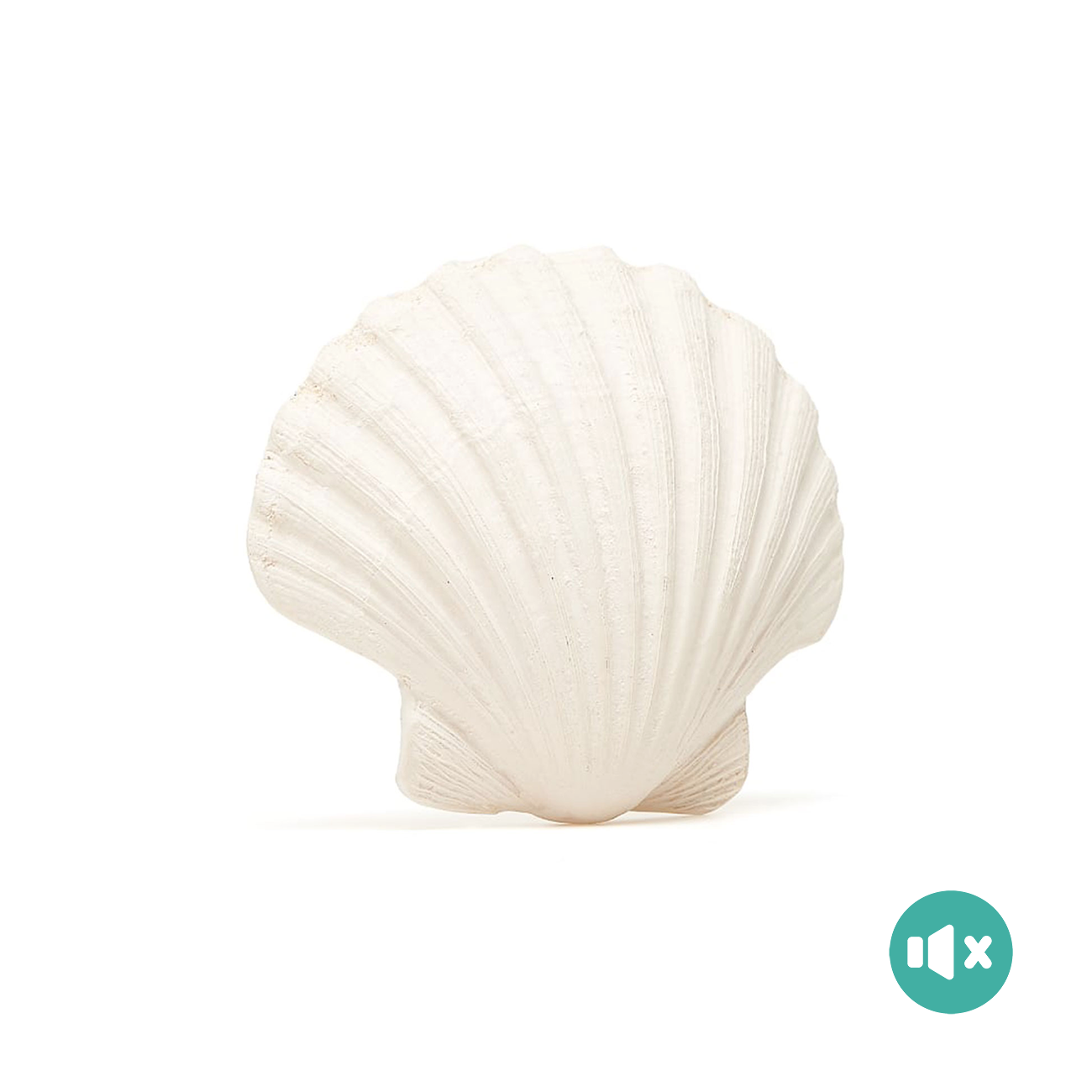 《 Lanco 》天然無毒橡膠玩具｜不會啾系列【貝殼】