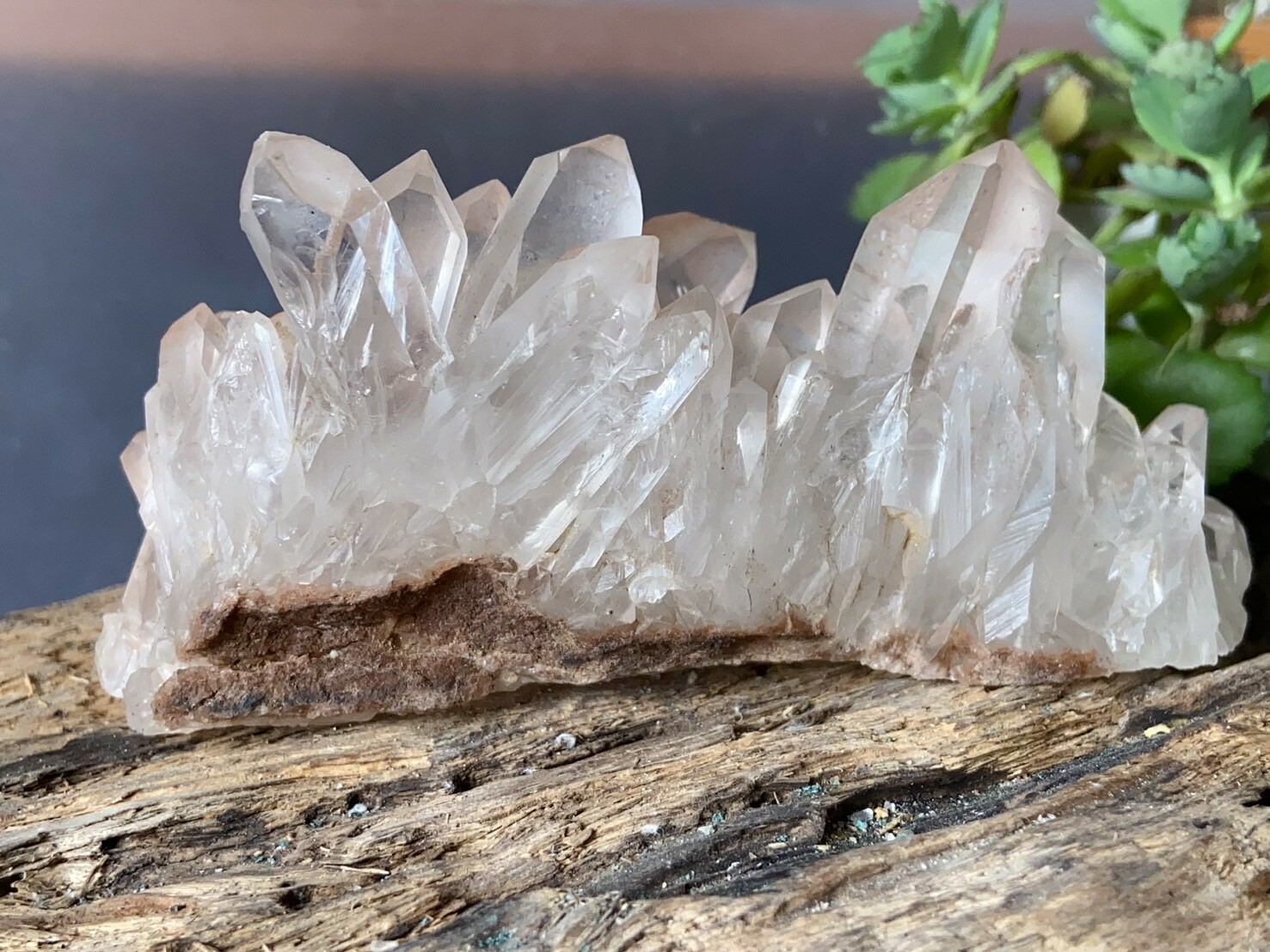 白水晶晶簇01丨水晶之王丨正能量