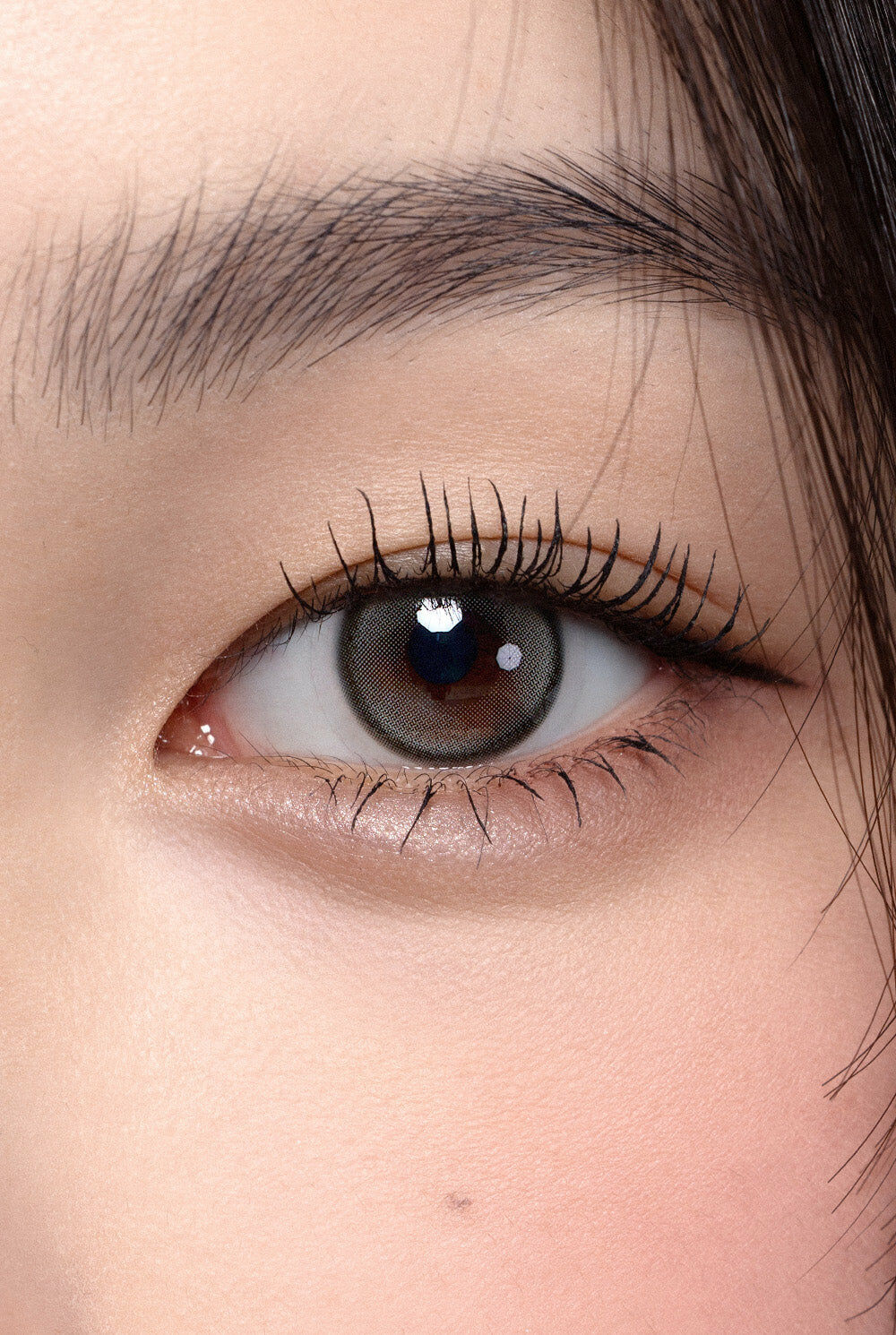 [日拋] Hapa Kristin 1 Day First Love Kristin 灰色 Gray 日拋 |每盒10片