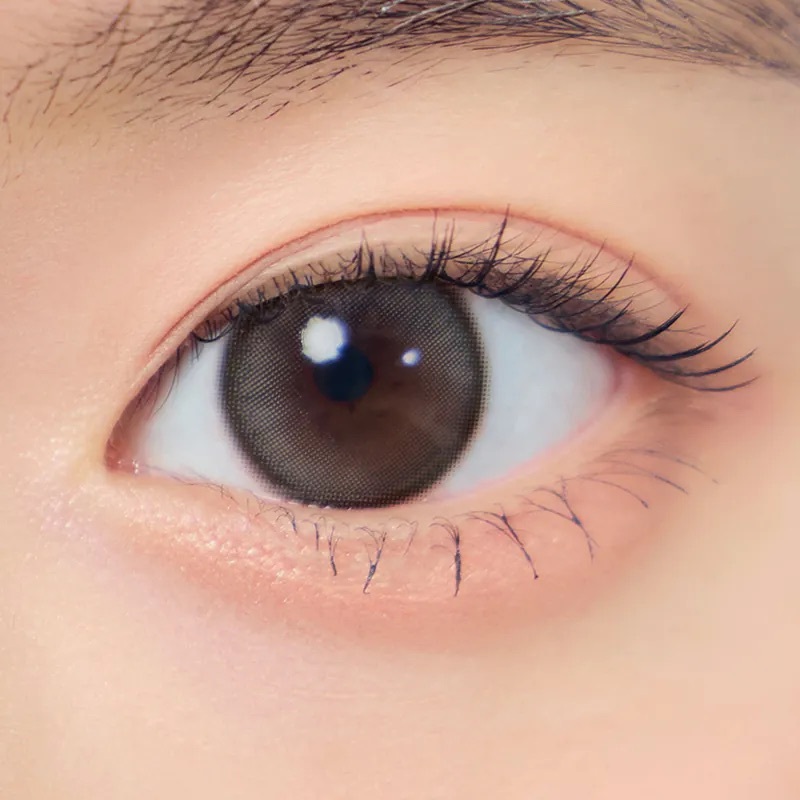 [日拋] Gemhour Demeter 13.0 1 Day Brussels Choco 日拋彩妝隱形眼鏡 |每盒10片