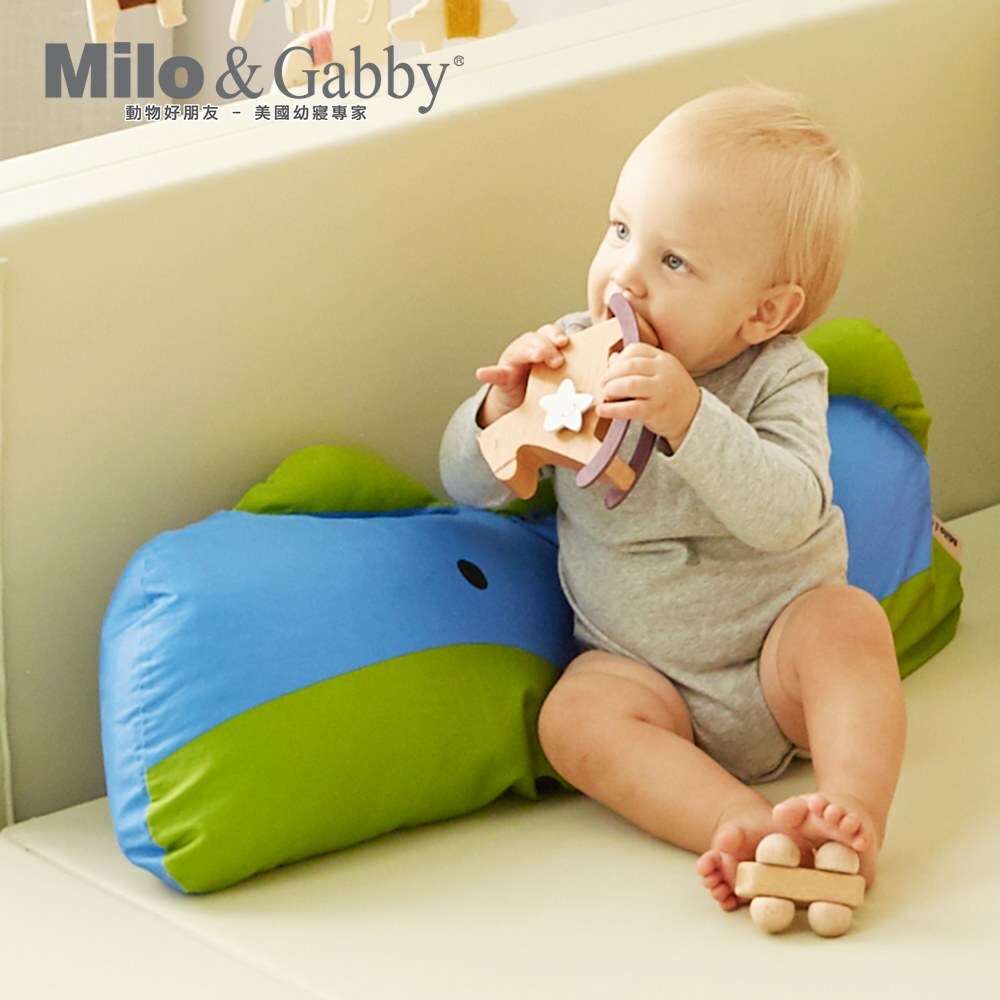 Milo&Gabby美國 動物好朋友長條抱枕心枕套組｜Dylan恐龍