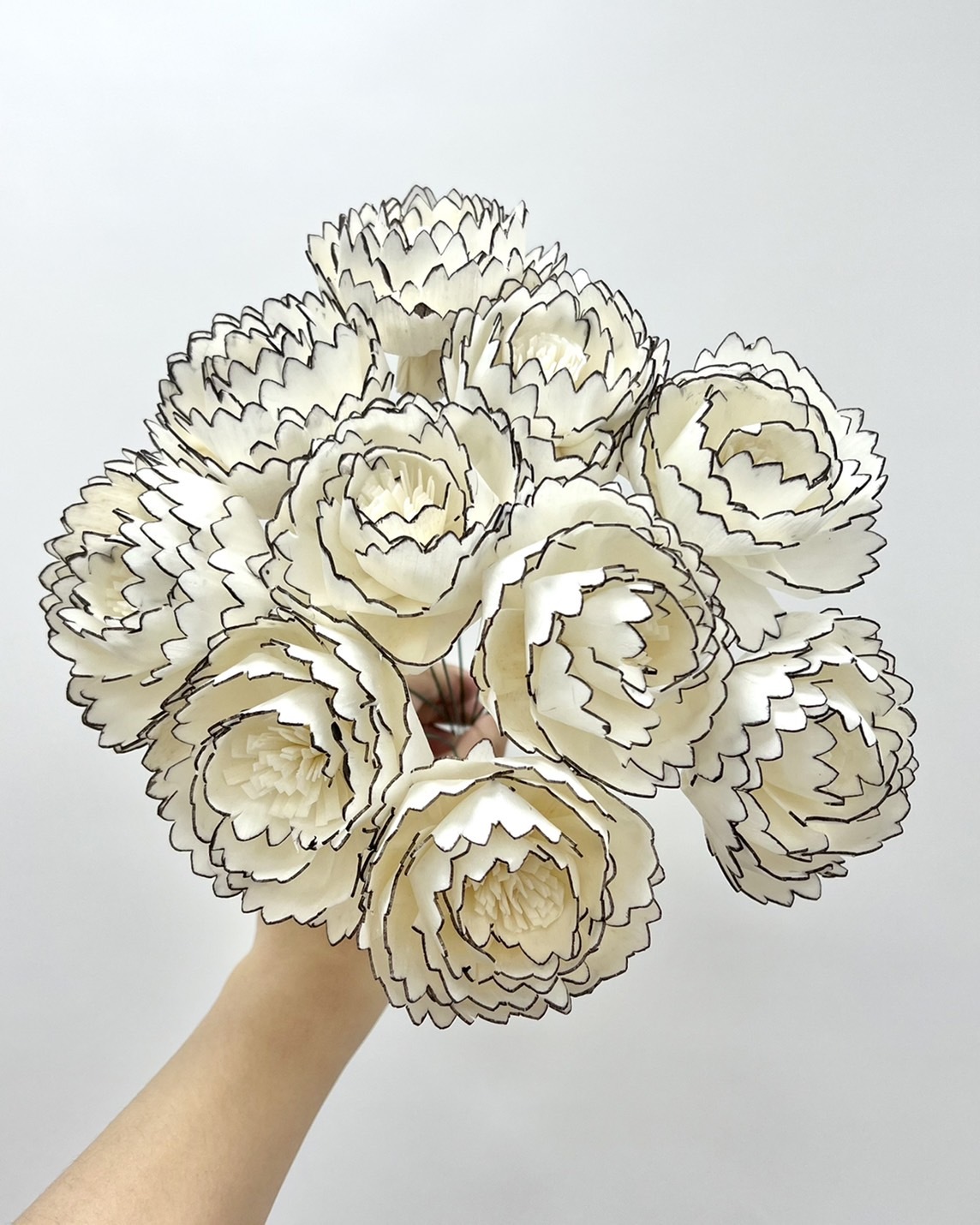 泰國索拉花 小香風尖葉牡丹 6CM  <十支一把> (高品質)