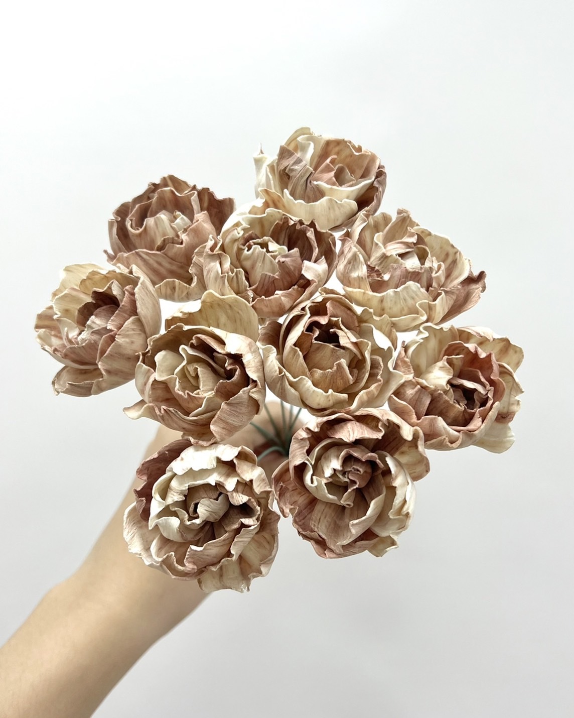 泰國索拉花 奶茶牡丹4CM <十支一把> (高品質)