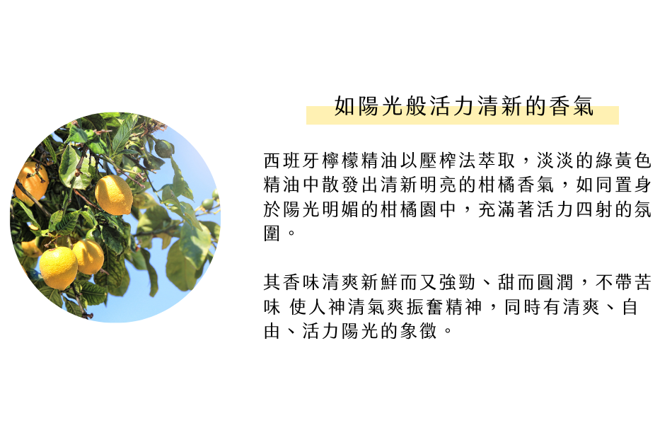 如陽光般活力清新的香氣