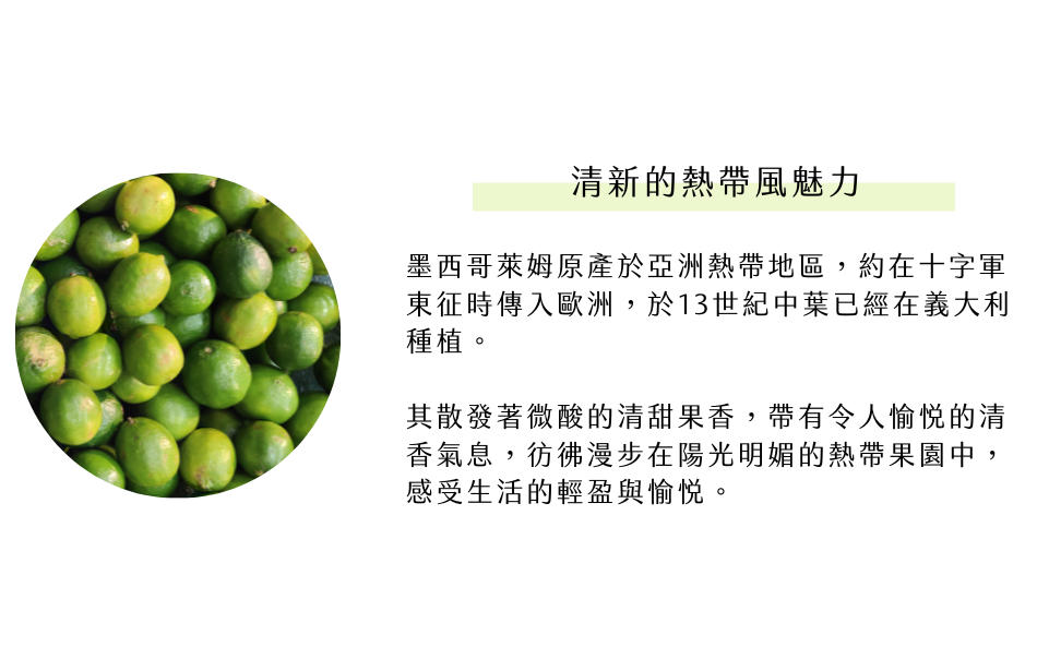 清新的熱帶風魅力