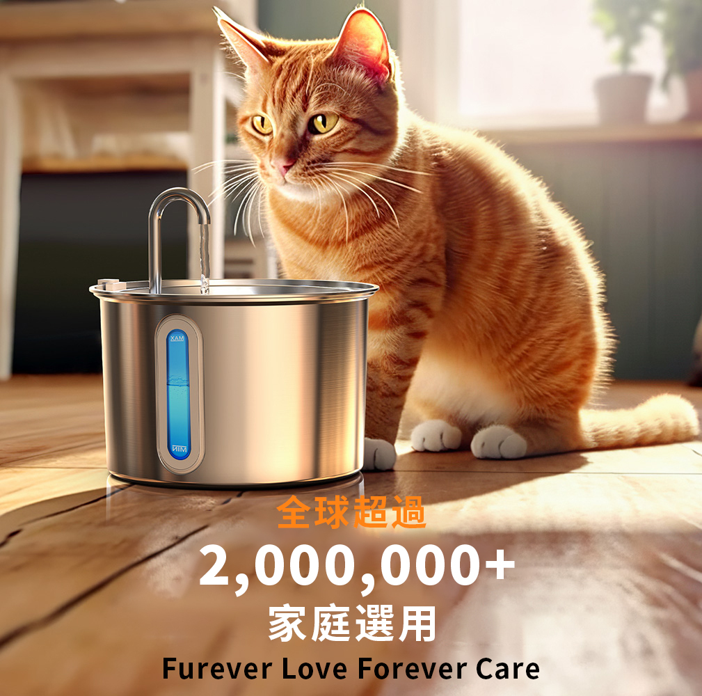 Oneisall Water Fountain 2L