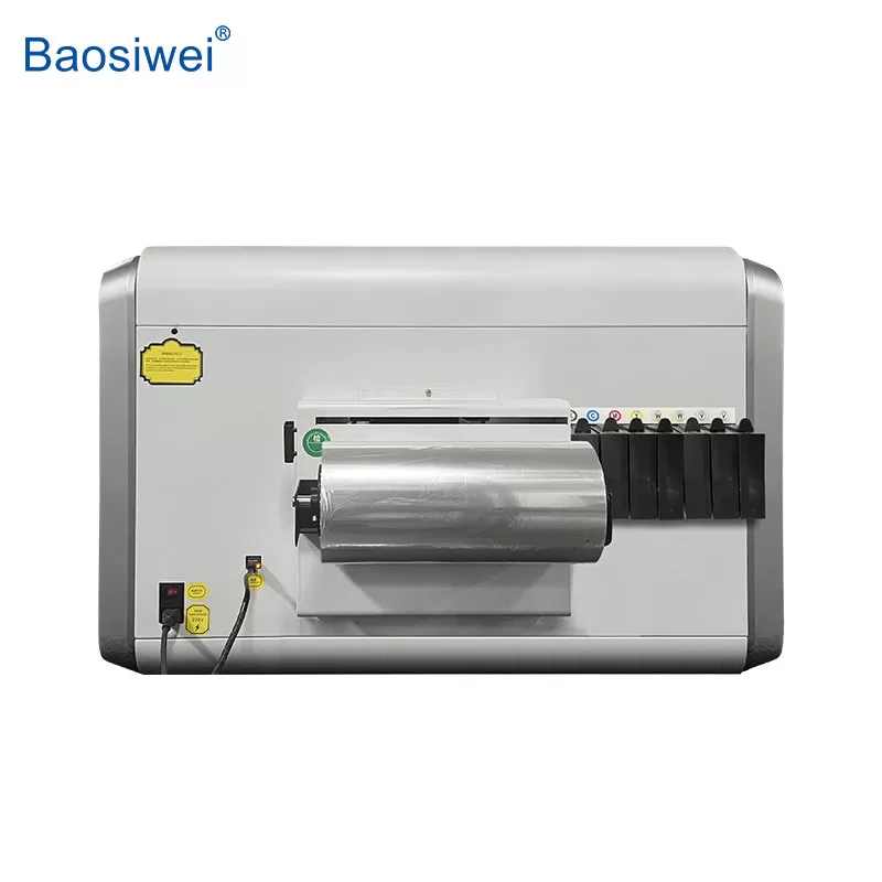 DTSL_Baoshiwei_Behind