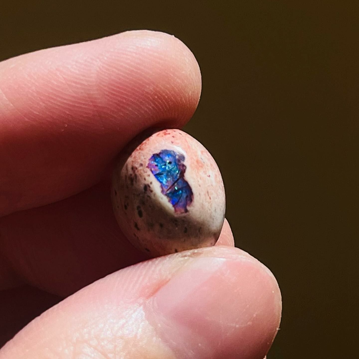 [原石] 墨西哥火蛋白石