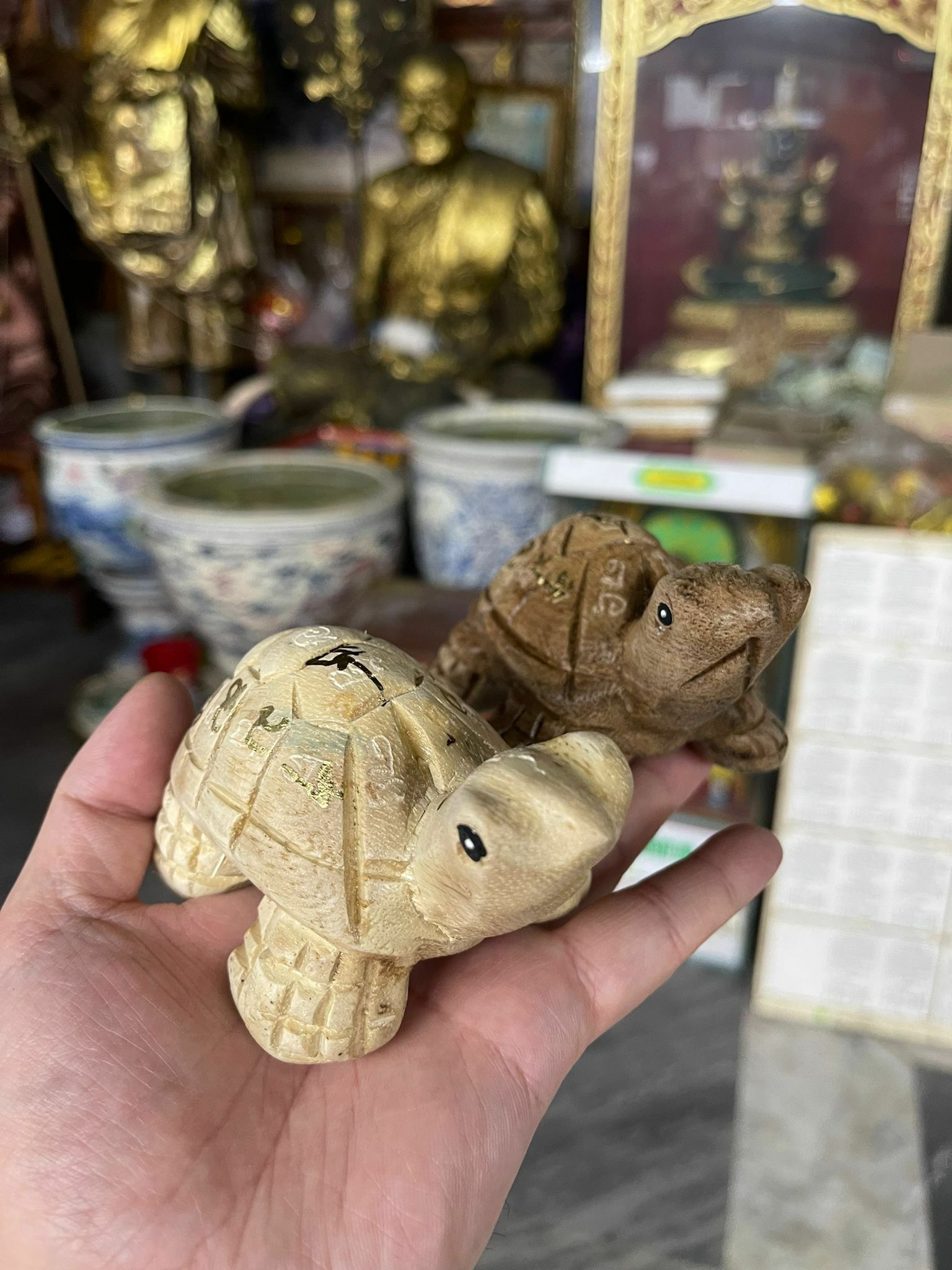 龍婆本廟供請  清債龜