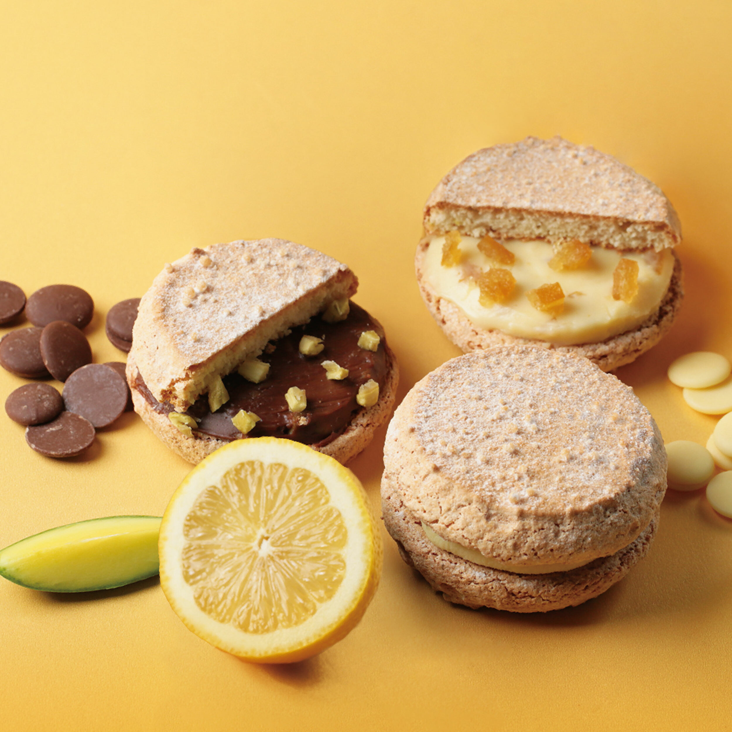 達克瓦茲禮盒（檸檬達克6入+芒果達克6入）